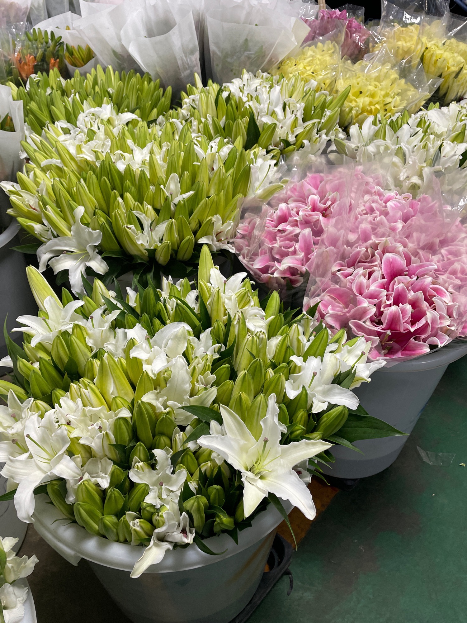 王四营鲜花批发