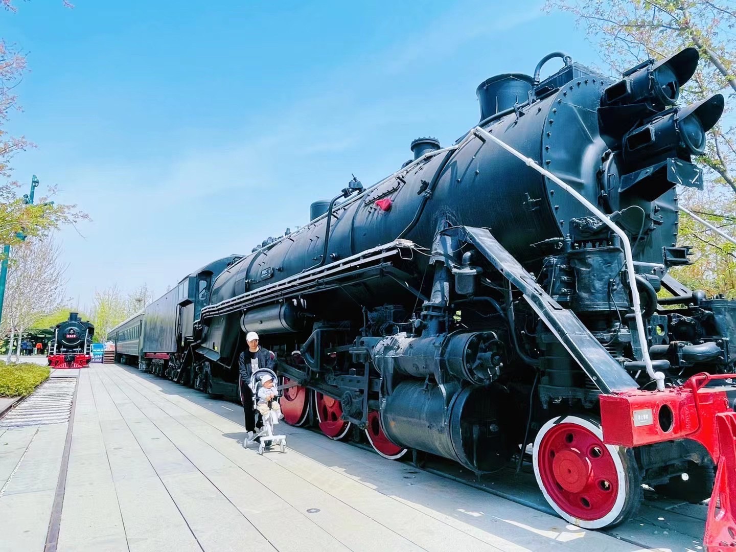 白鹭湾火车公园旅行图片 2