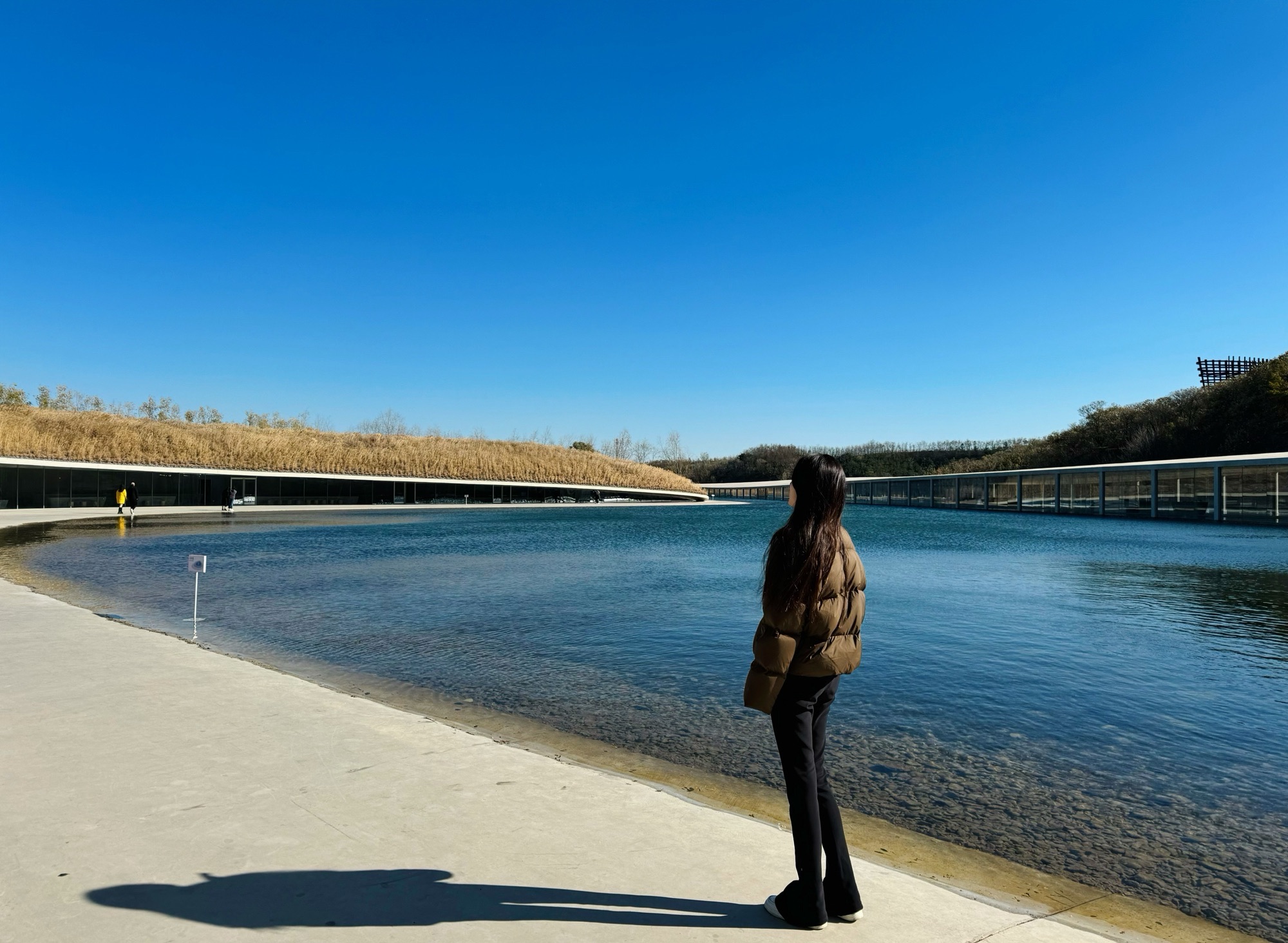 白鹭湾火车公园旅行图片 1