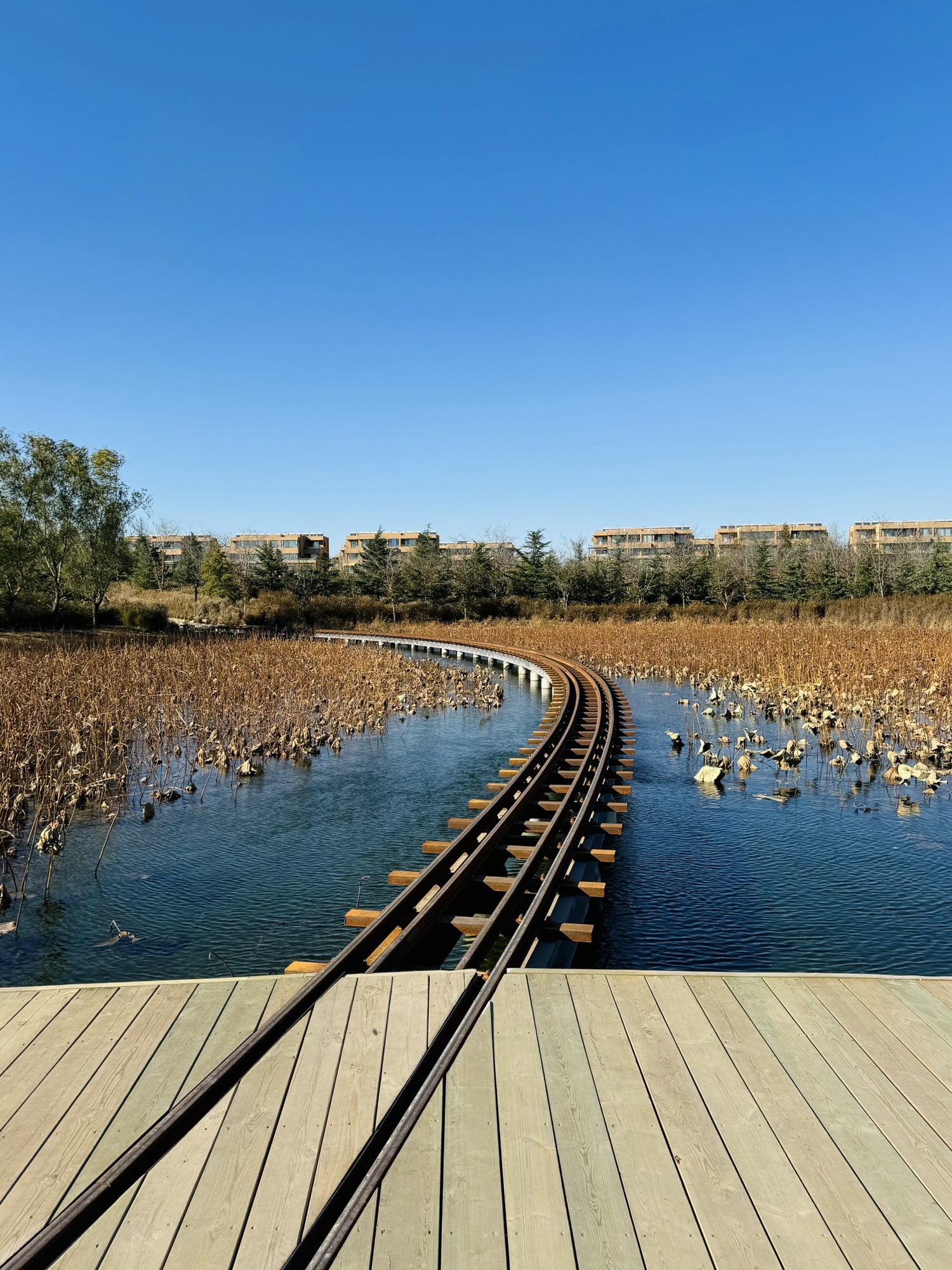 白鹭湾火车公园旅行图片 2
