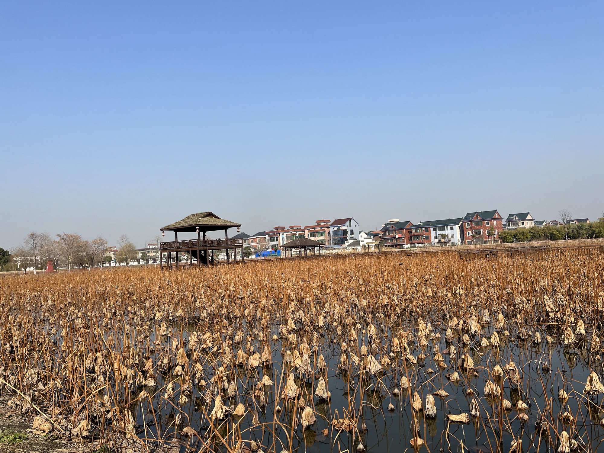 光大渊明景区旅行图片 2