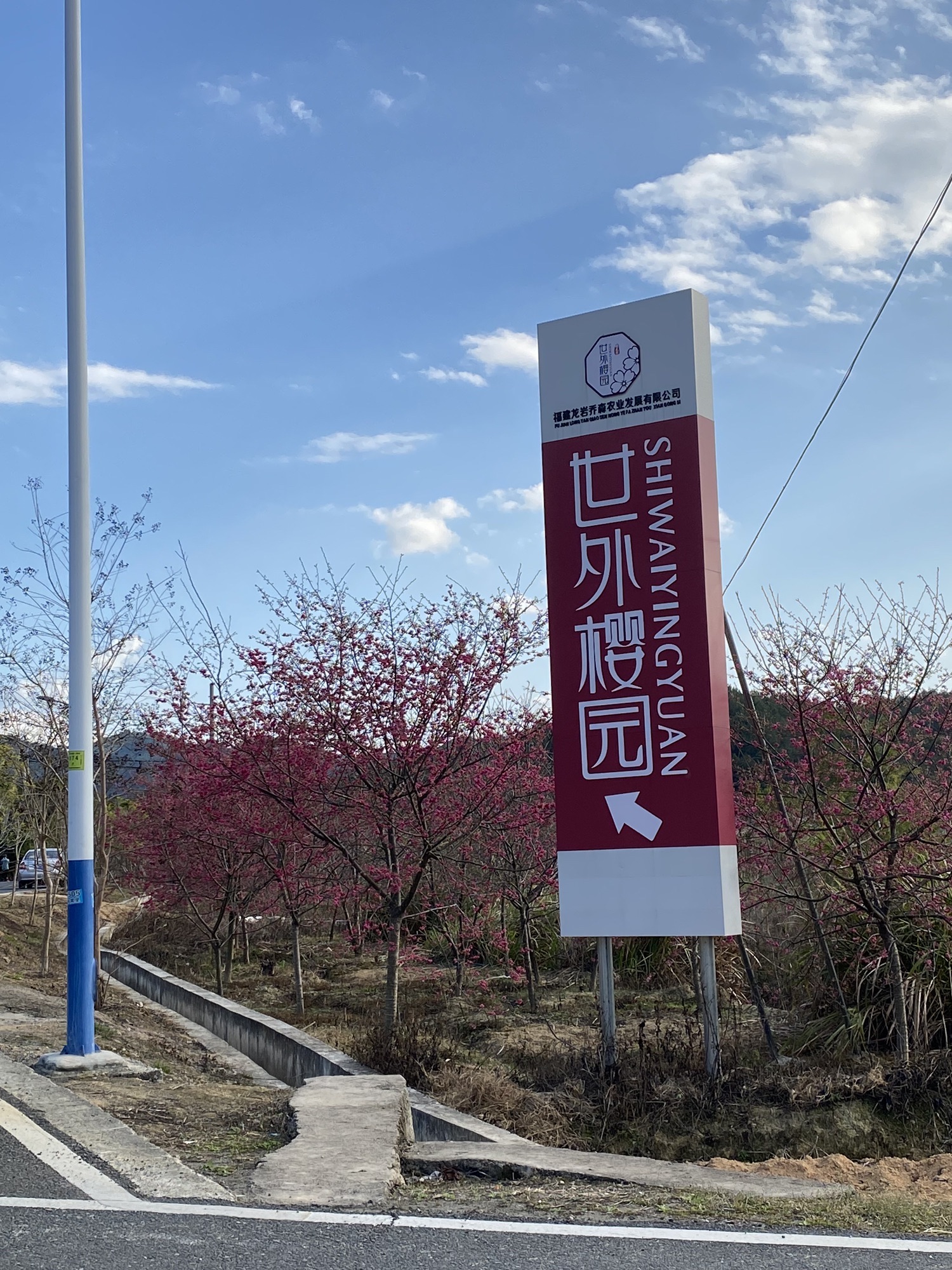 世外樱园旅行图片 1
