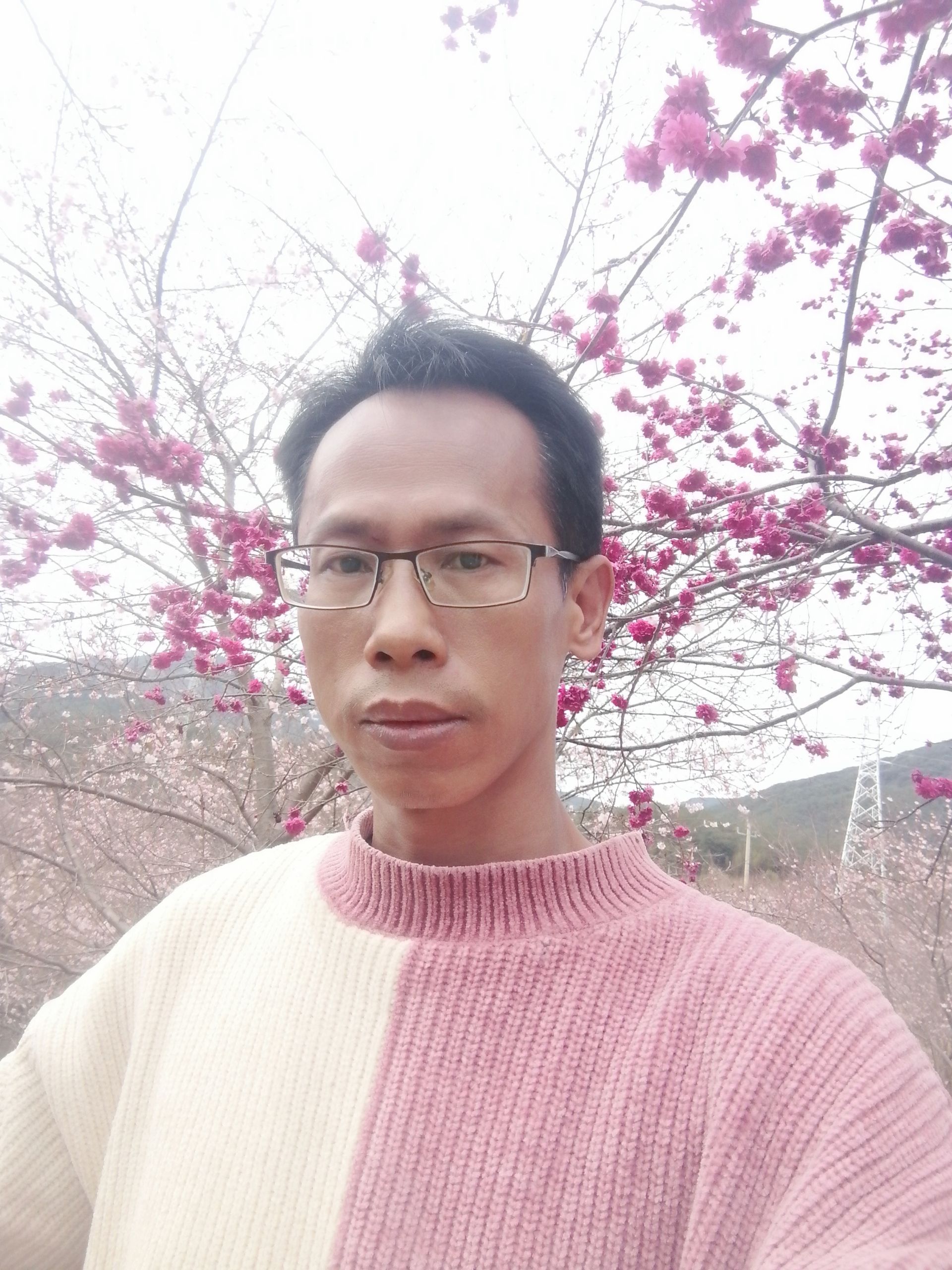 世外樱园旅行图片 3