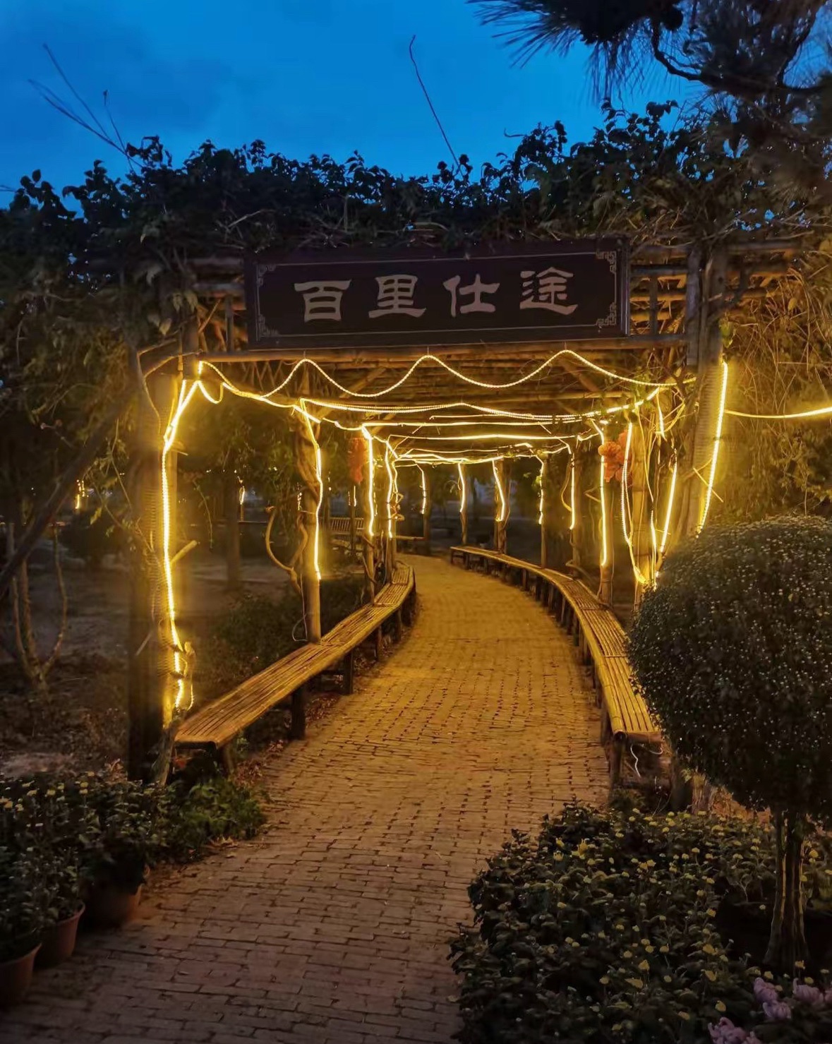 百里奚文化园旅行图片 1