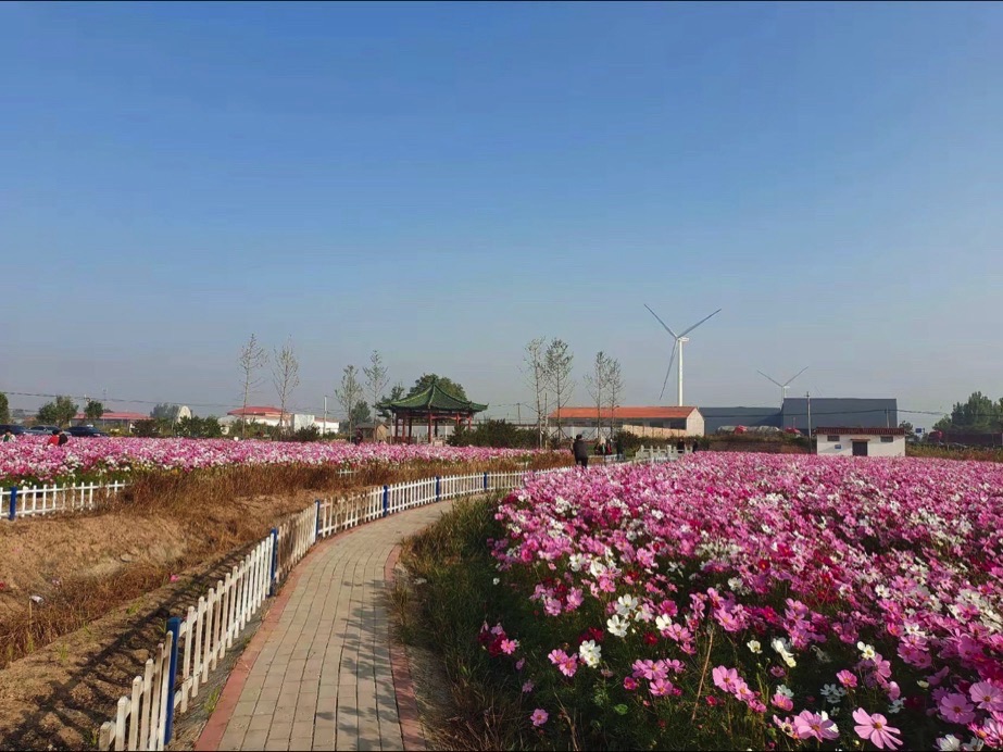 八角井文化公园旅行图片 2