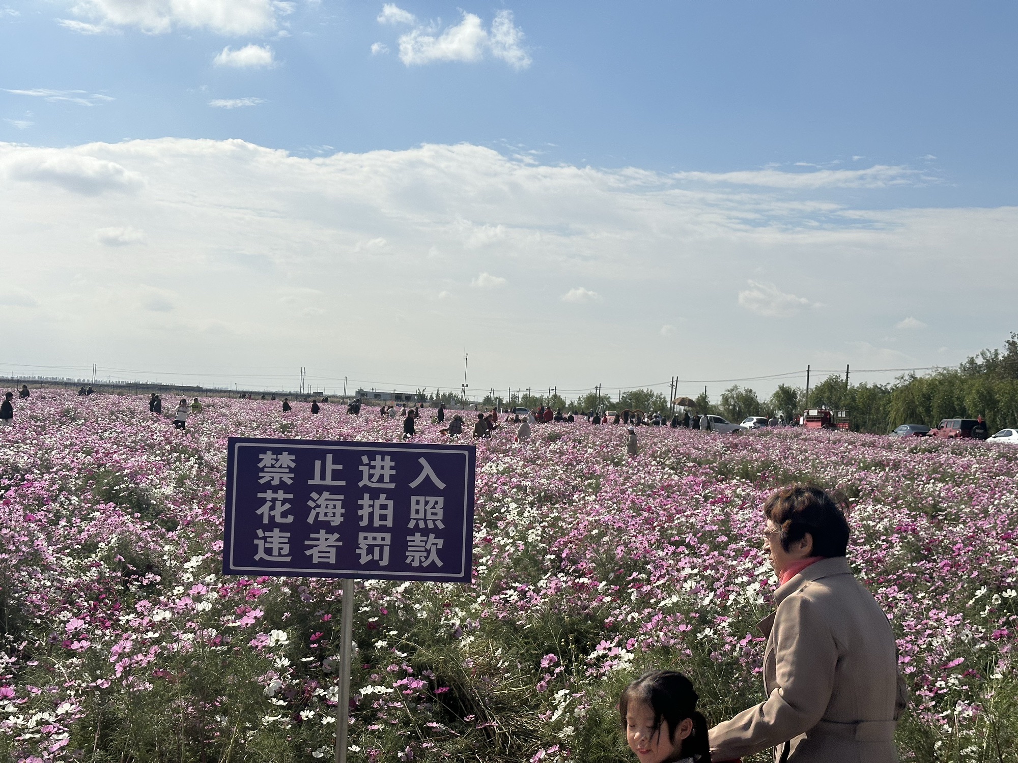 八角井文化公园旅行图片 2