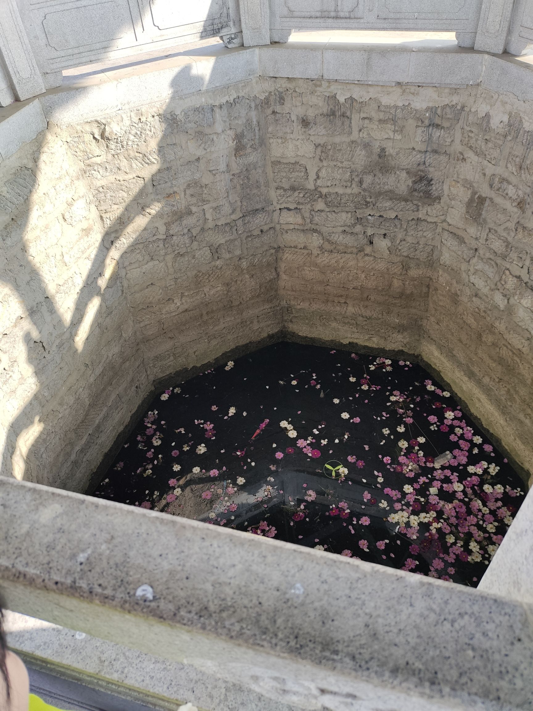 八角井文化公园旅行图片 3