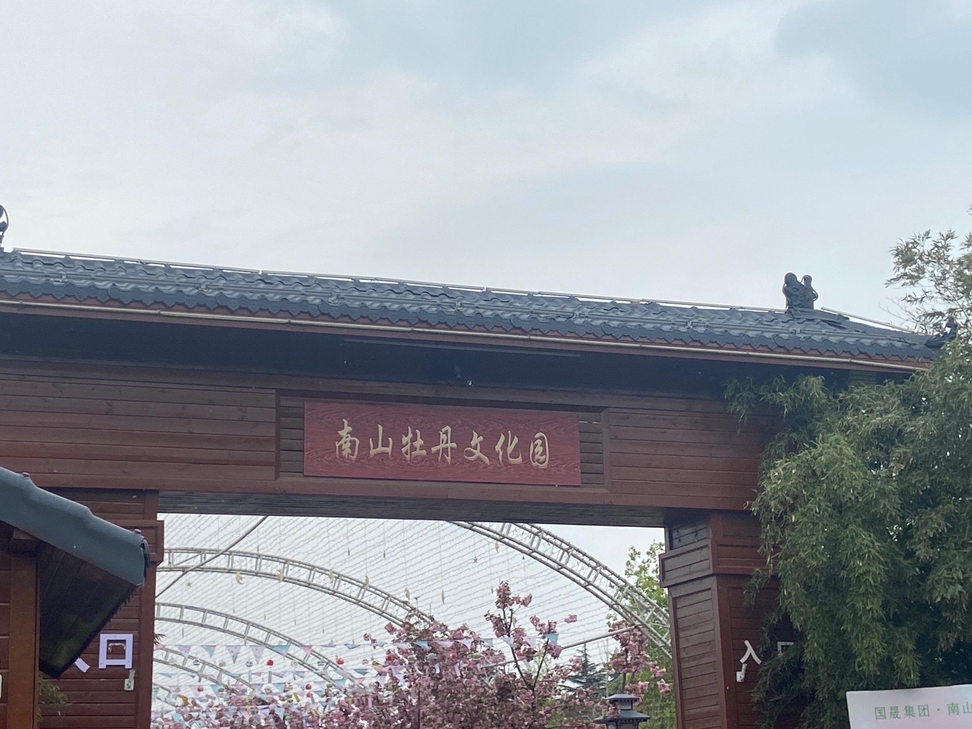 南山牡丹文化园旅行图片 2
