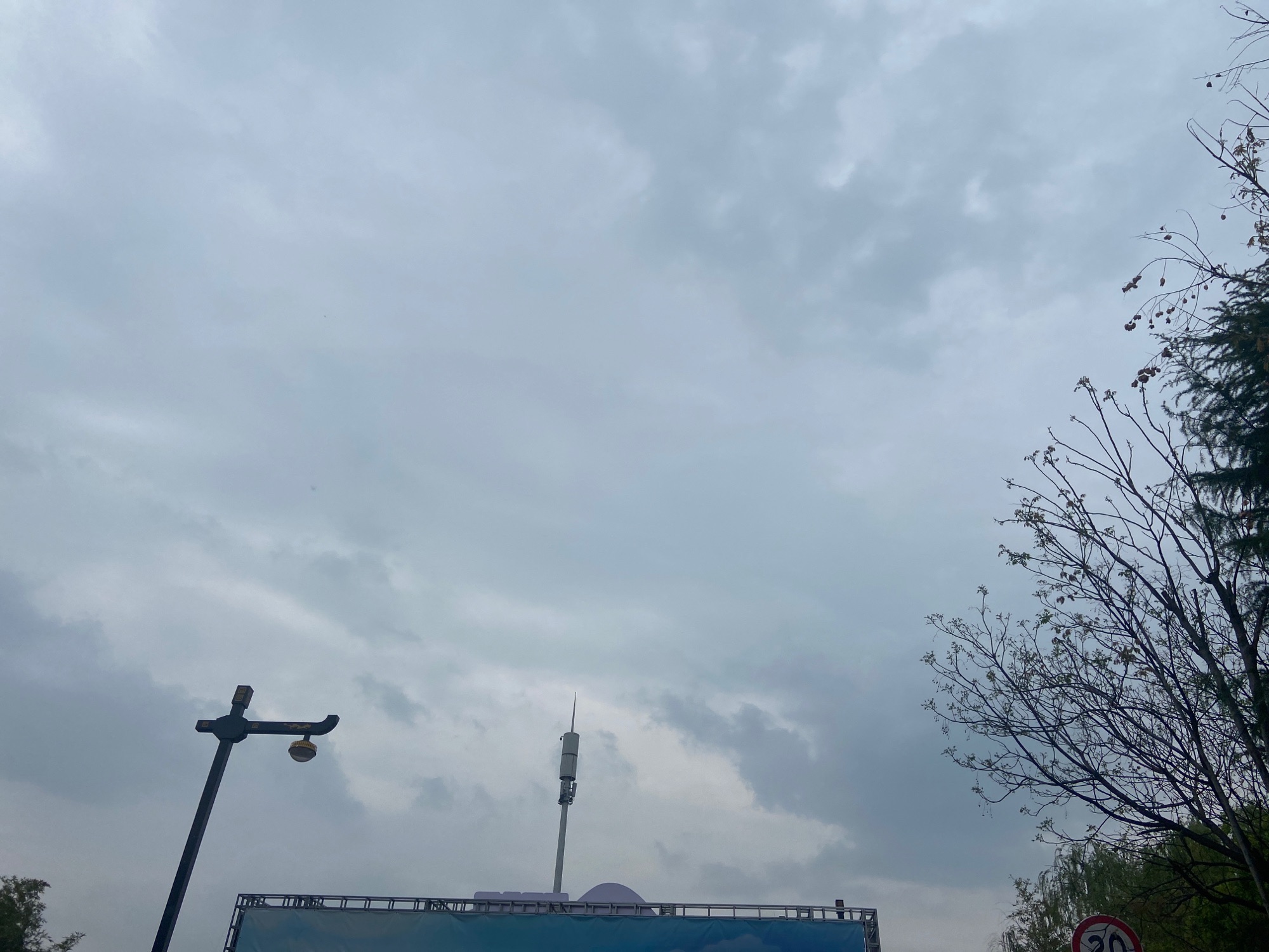 南山牡丹文化园旅行图片 1