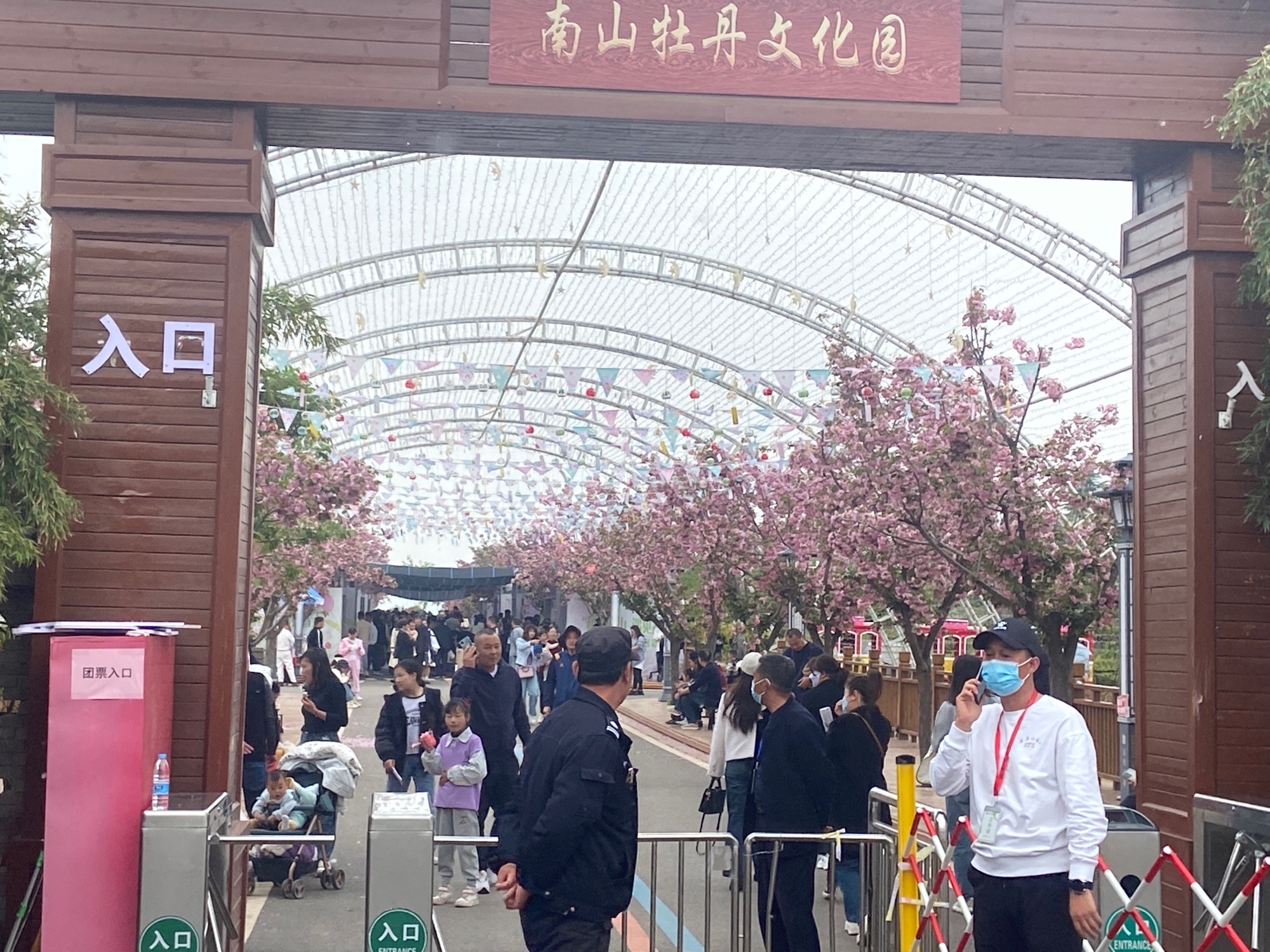 南山牡丹文化园旅行图片 3