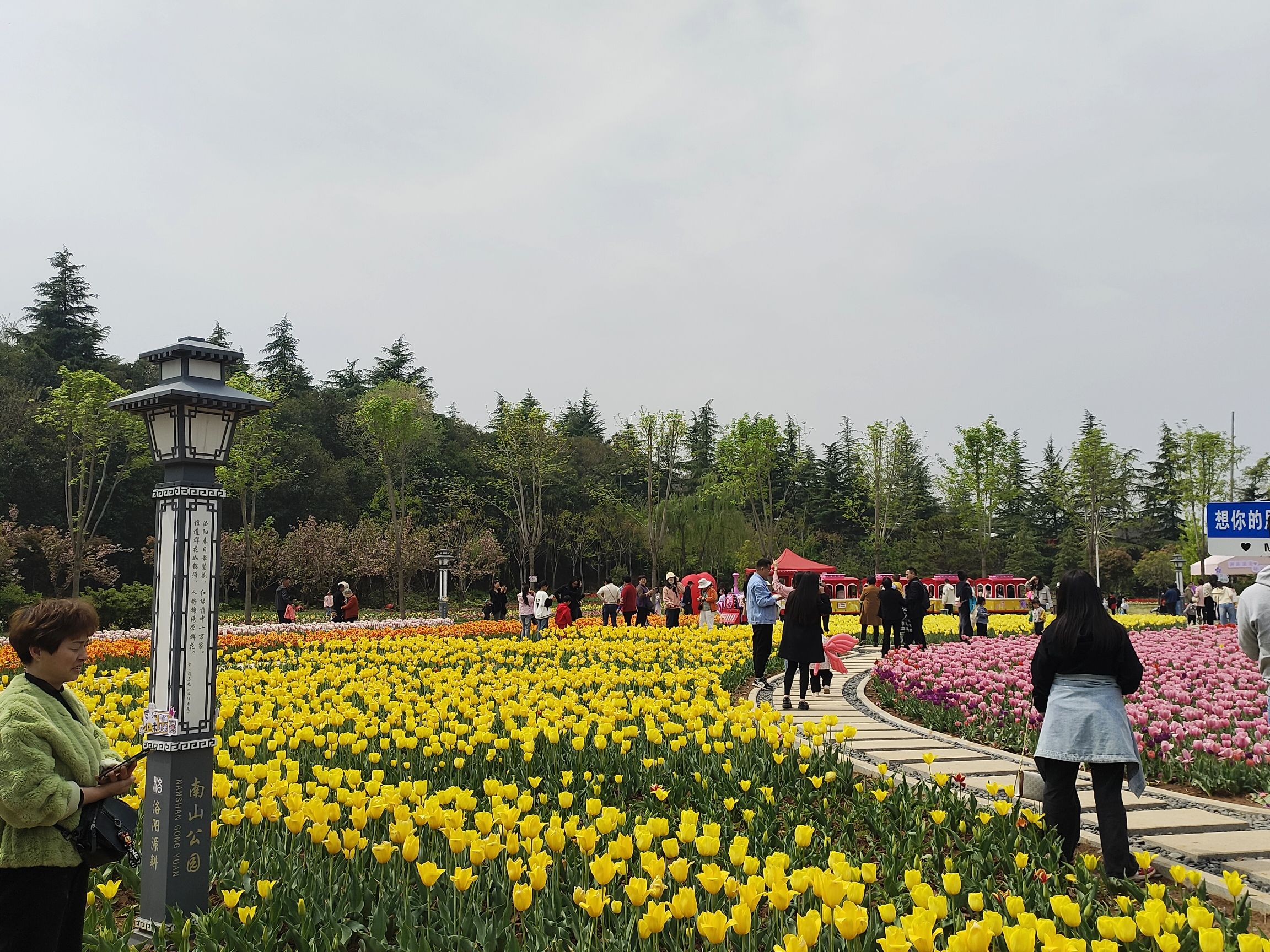 南山牡丹文化园旅行图片 3