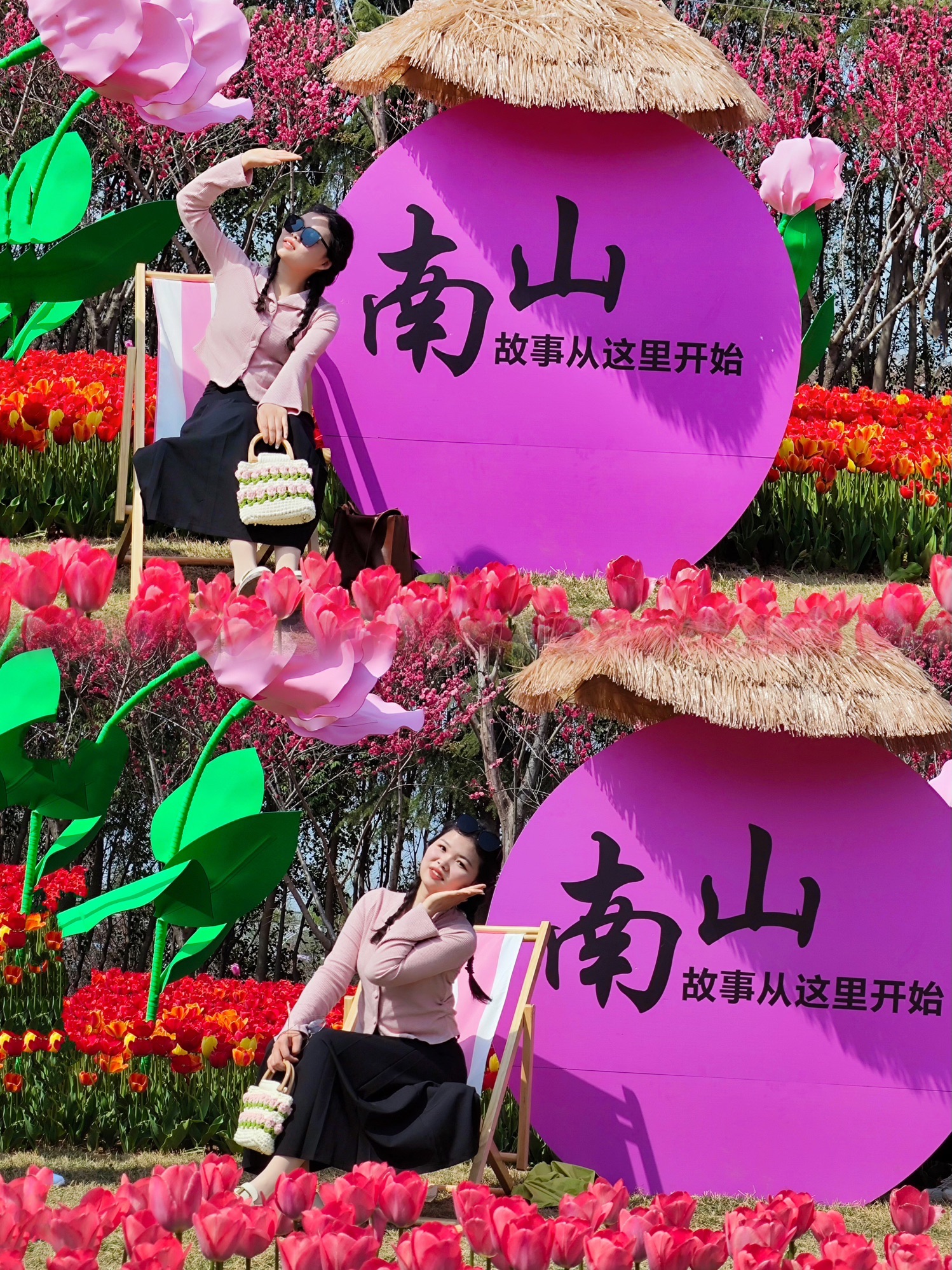 南山牡丹文化园旅行图片 3