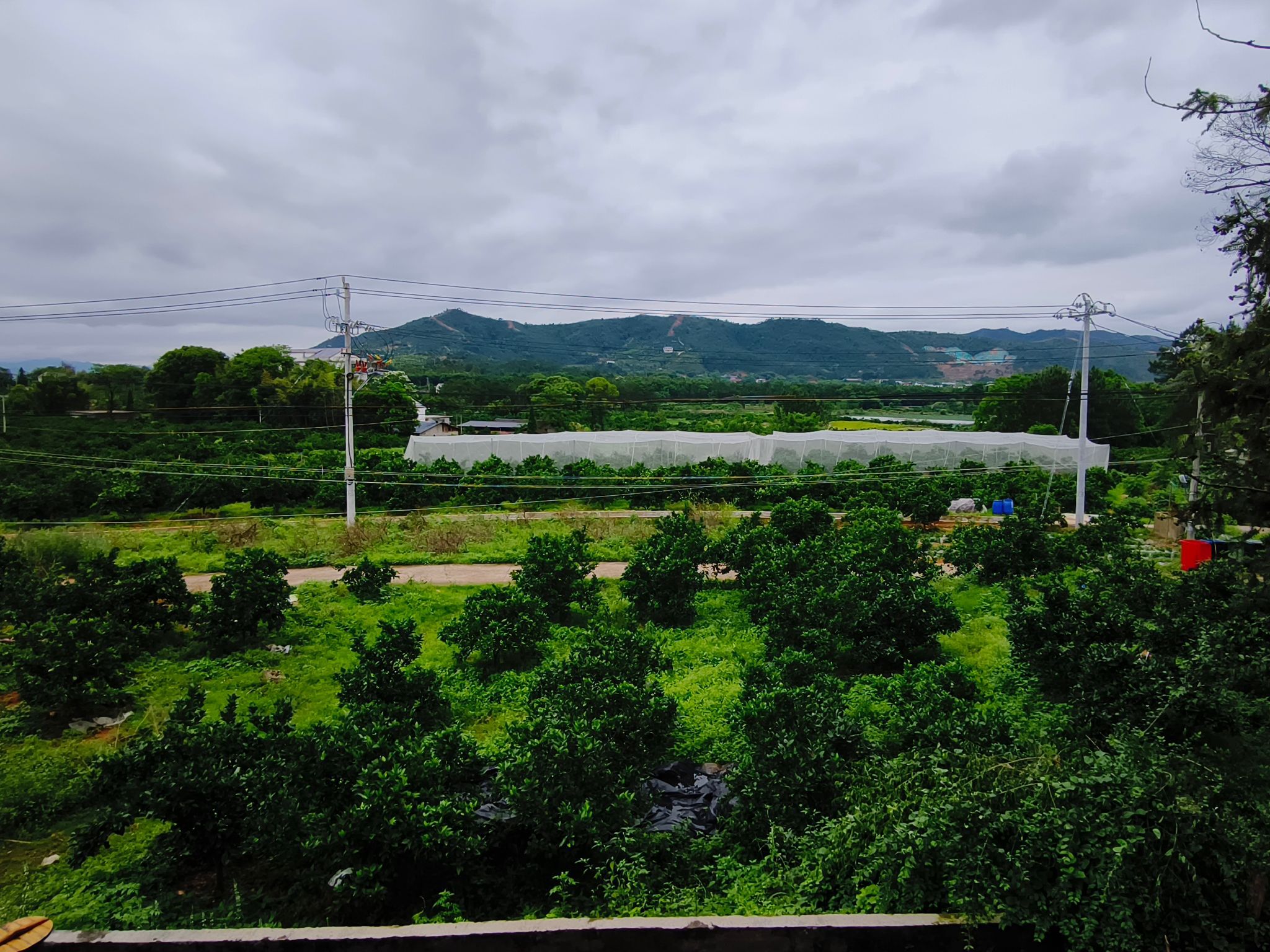 赤地岗新吕屋吕氏祠堂旅行图片