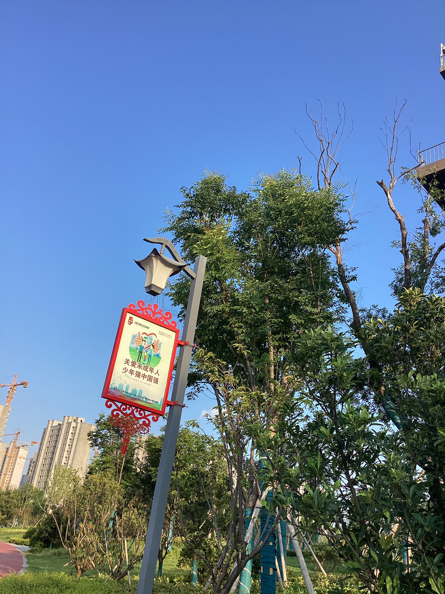 逍遥湖公园旅行图片 2