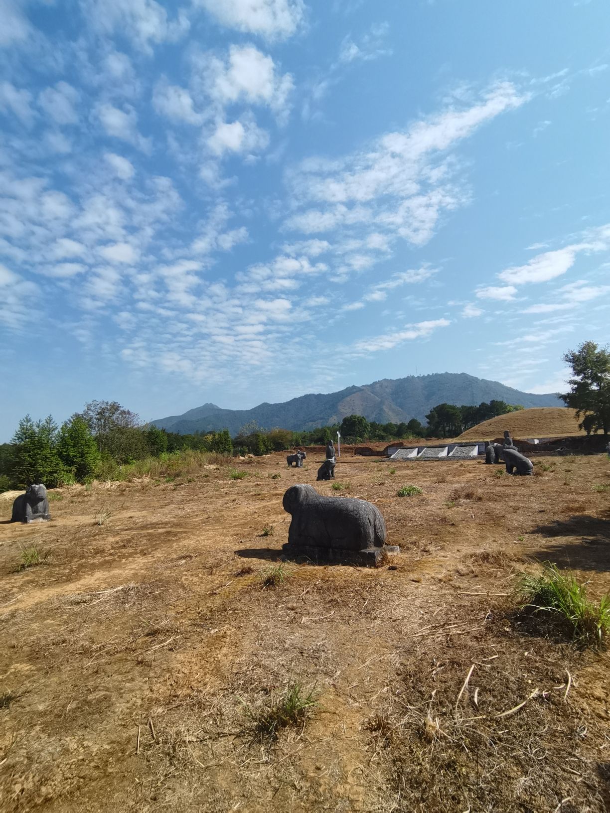靖江悼僖王陵旅行图片 1