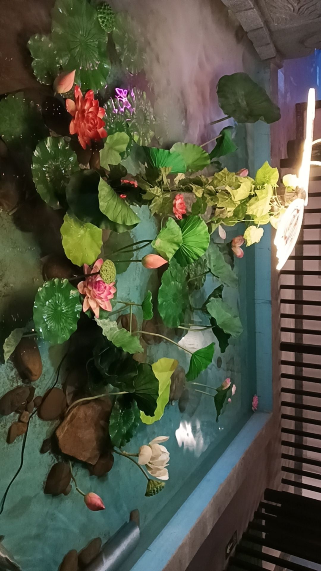 海昌海洋探索馆旅行图片 3