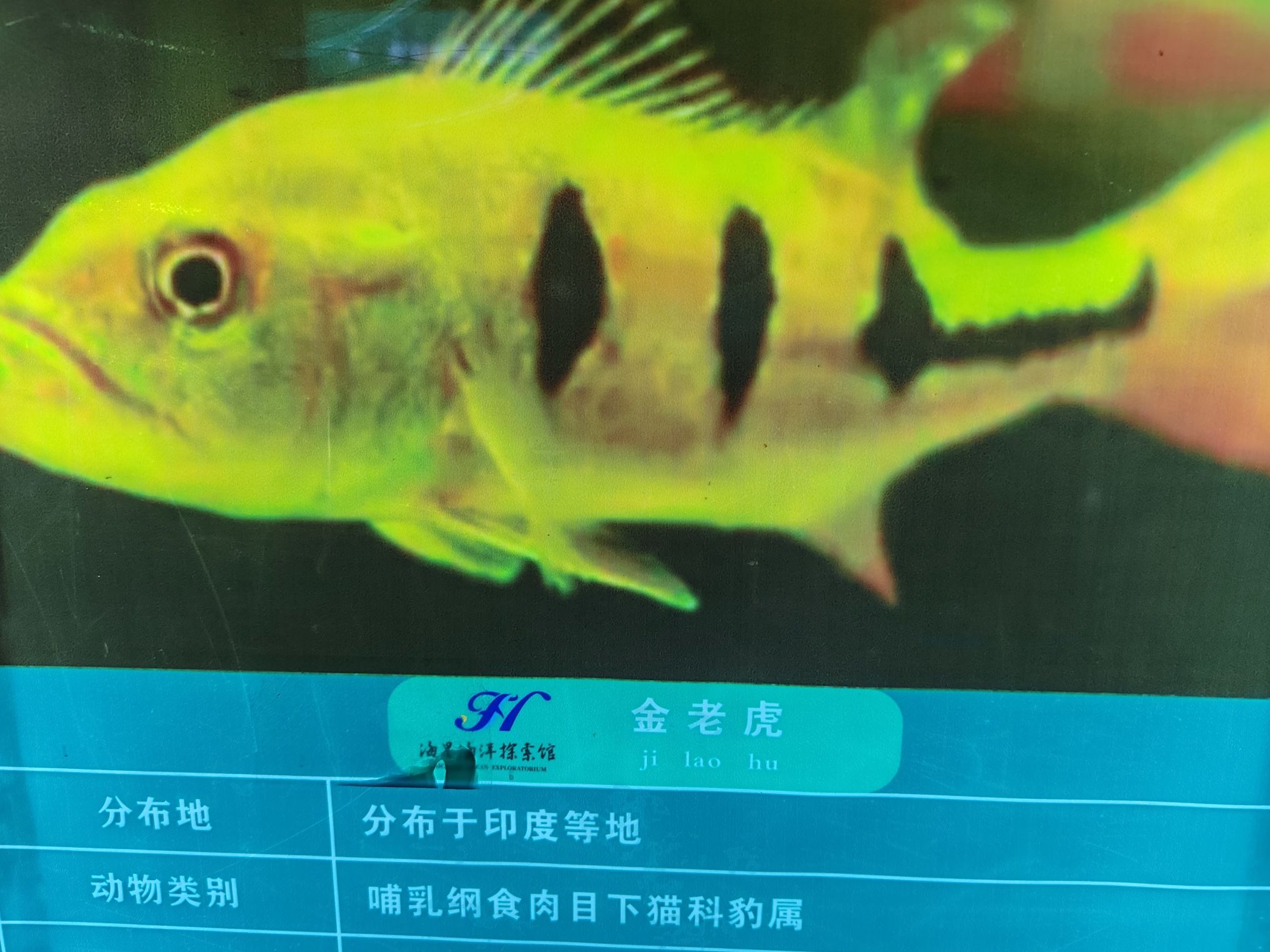 海昌海洋探索馆旅行图片 1