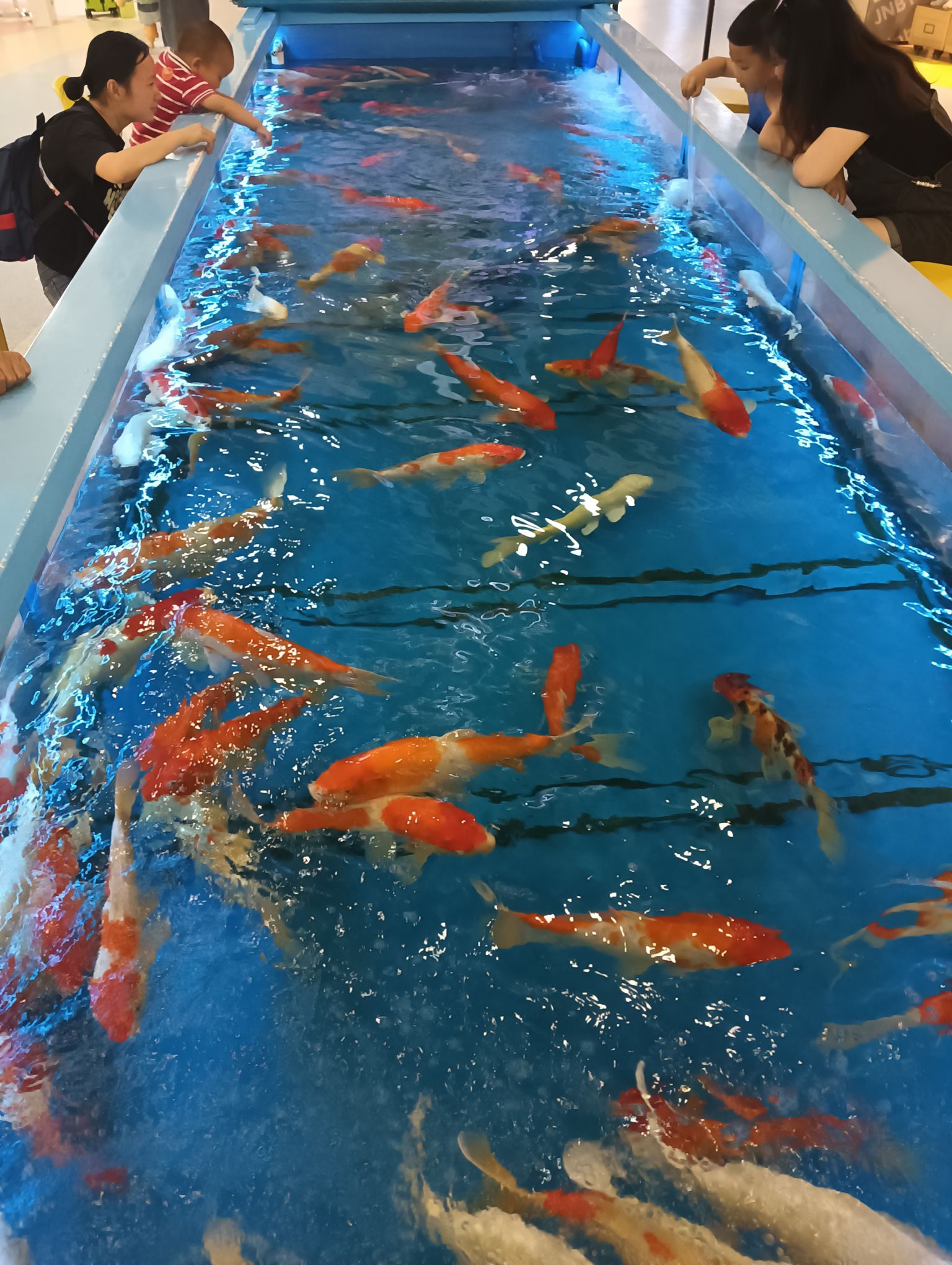 海昌海洋探索馆旅行图片 2