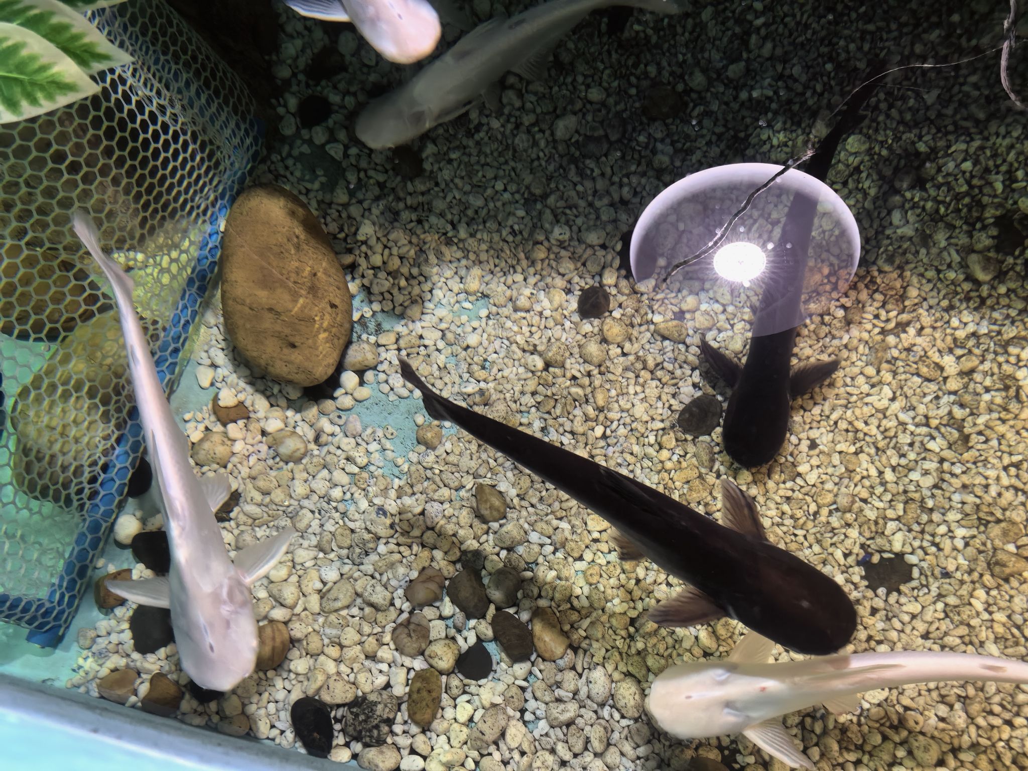 海昌海洋探索馆旅行图片 3