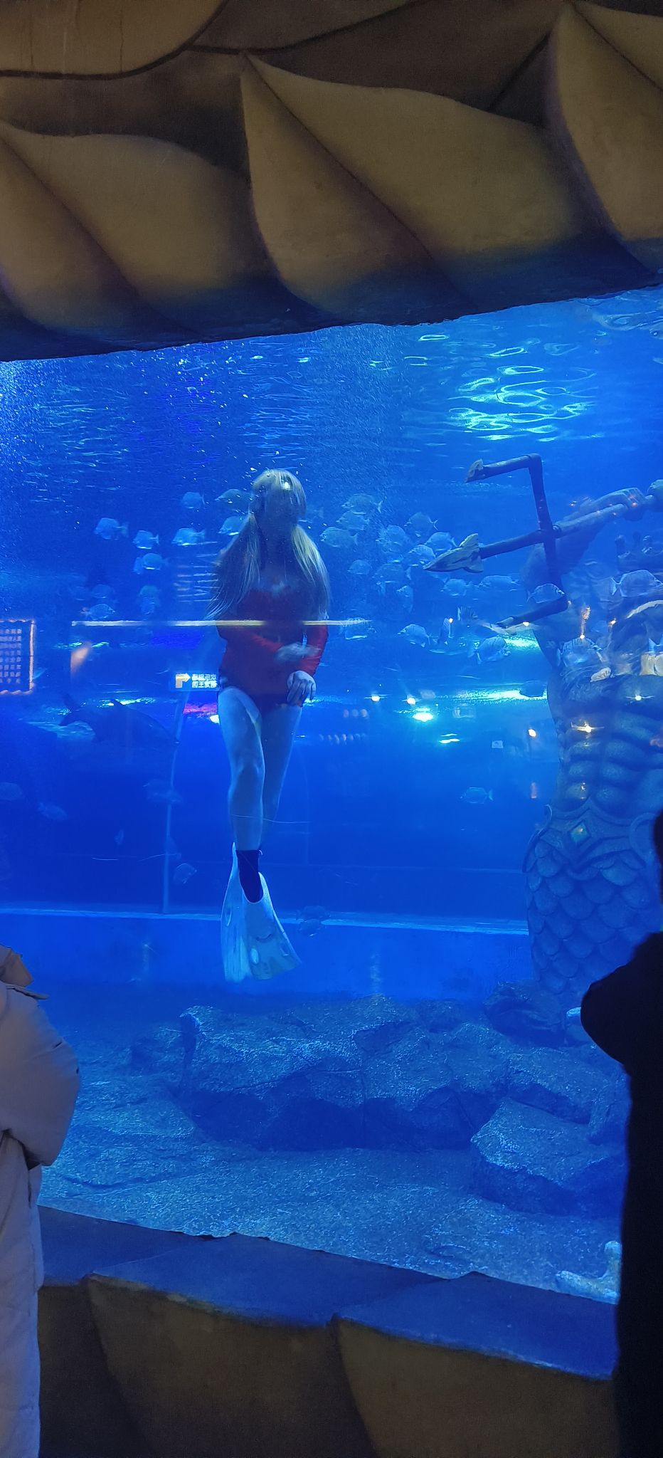 海昌海洋探索馆旅行图片 2