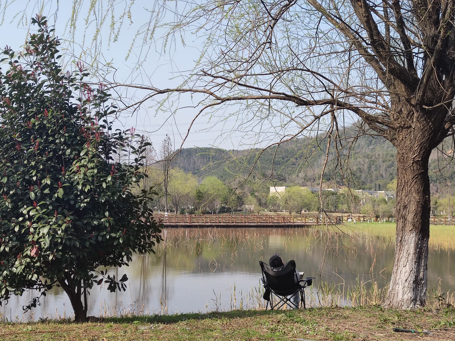 小浃江湿地示范园旅行图片 2
