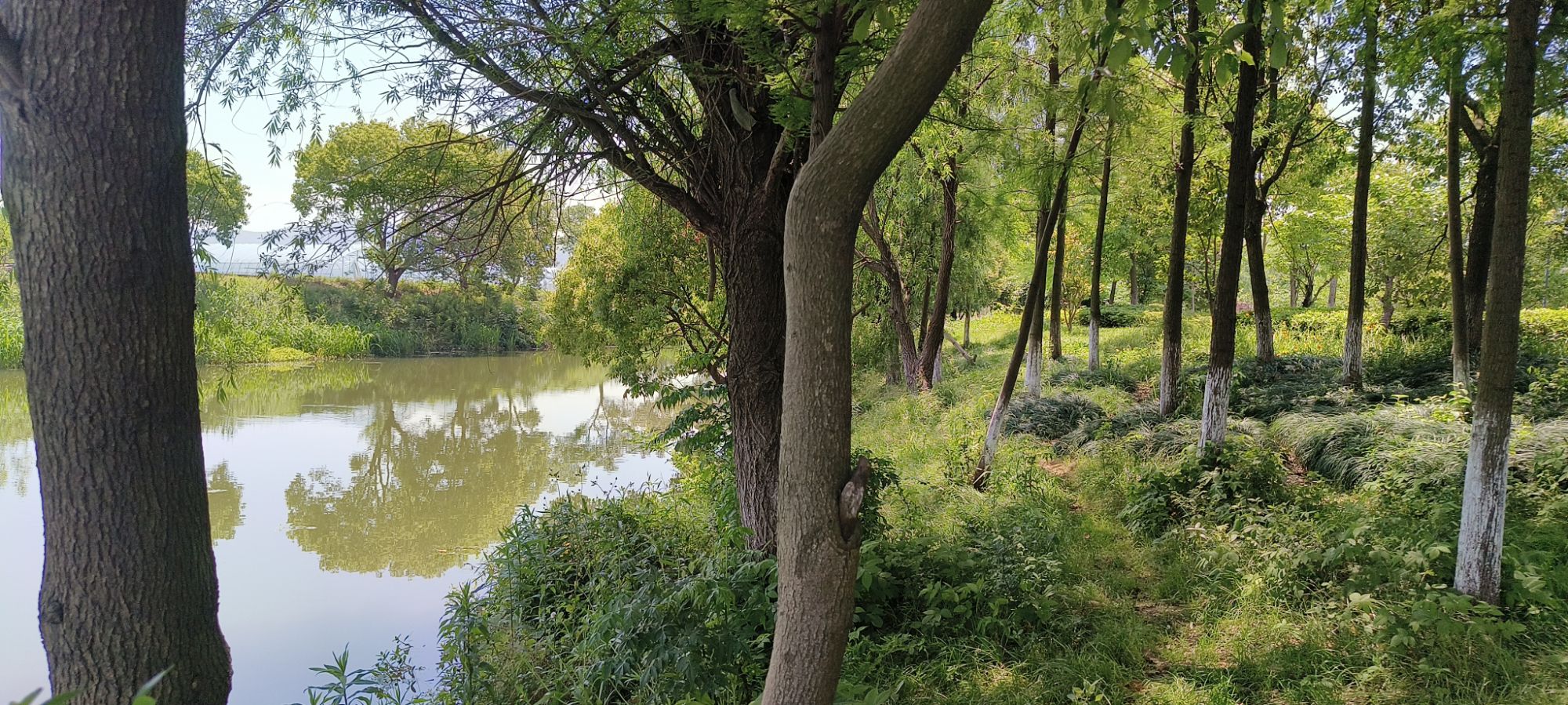 小浃江湿地示范园旅行图片 1