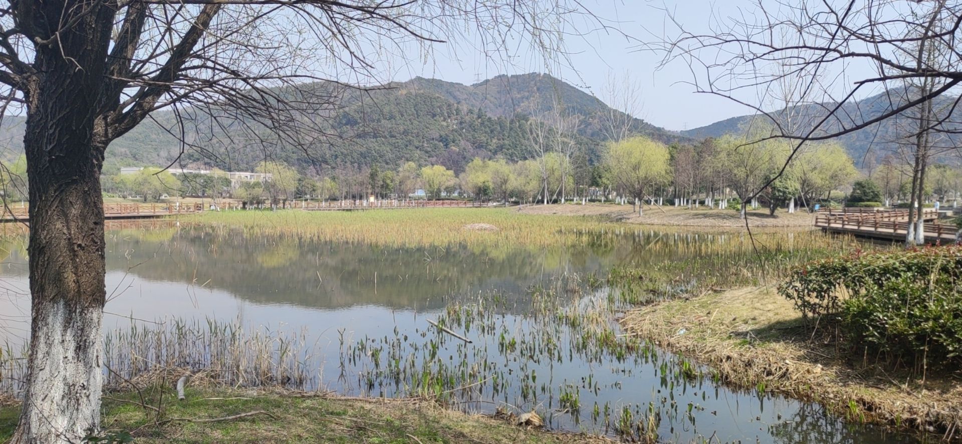 小浃江湿地示范园旅行图片 1