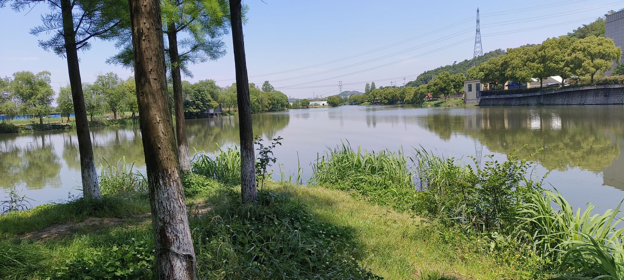 小浃江湿地示范园旅行图片 2