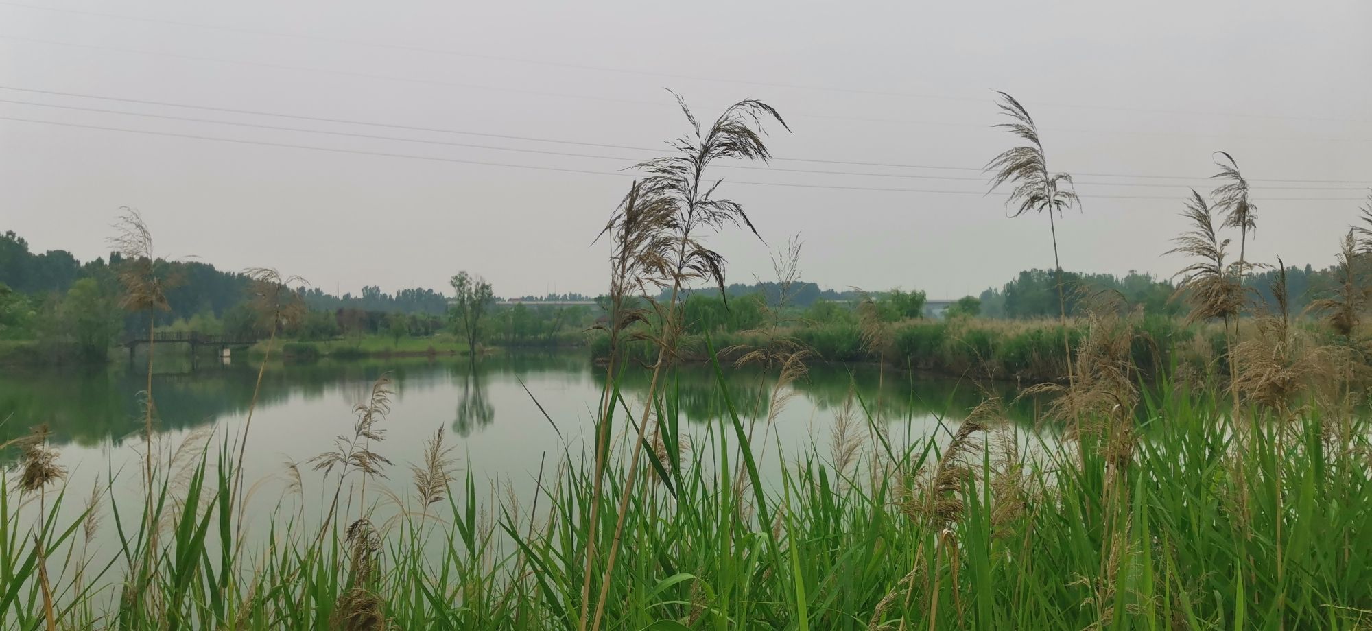 吉利黄河湿地国家级自然保护区旅行图片 1