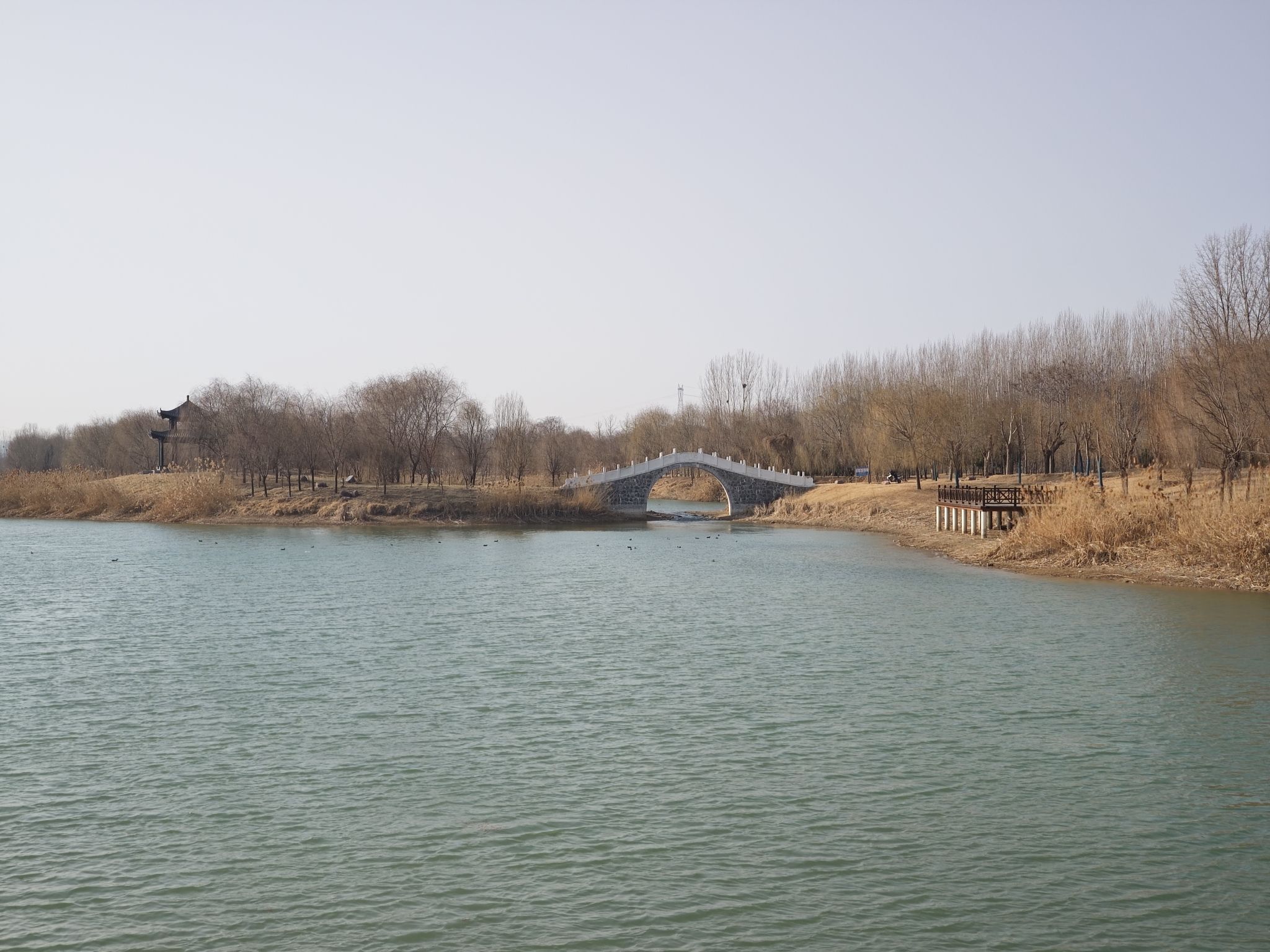 吉利黄河湿地国家级自然保护区旅行图片 3