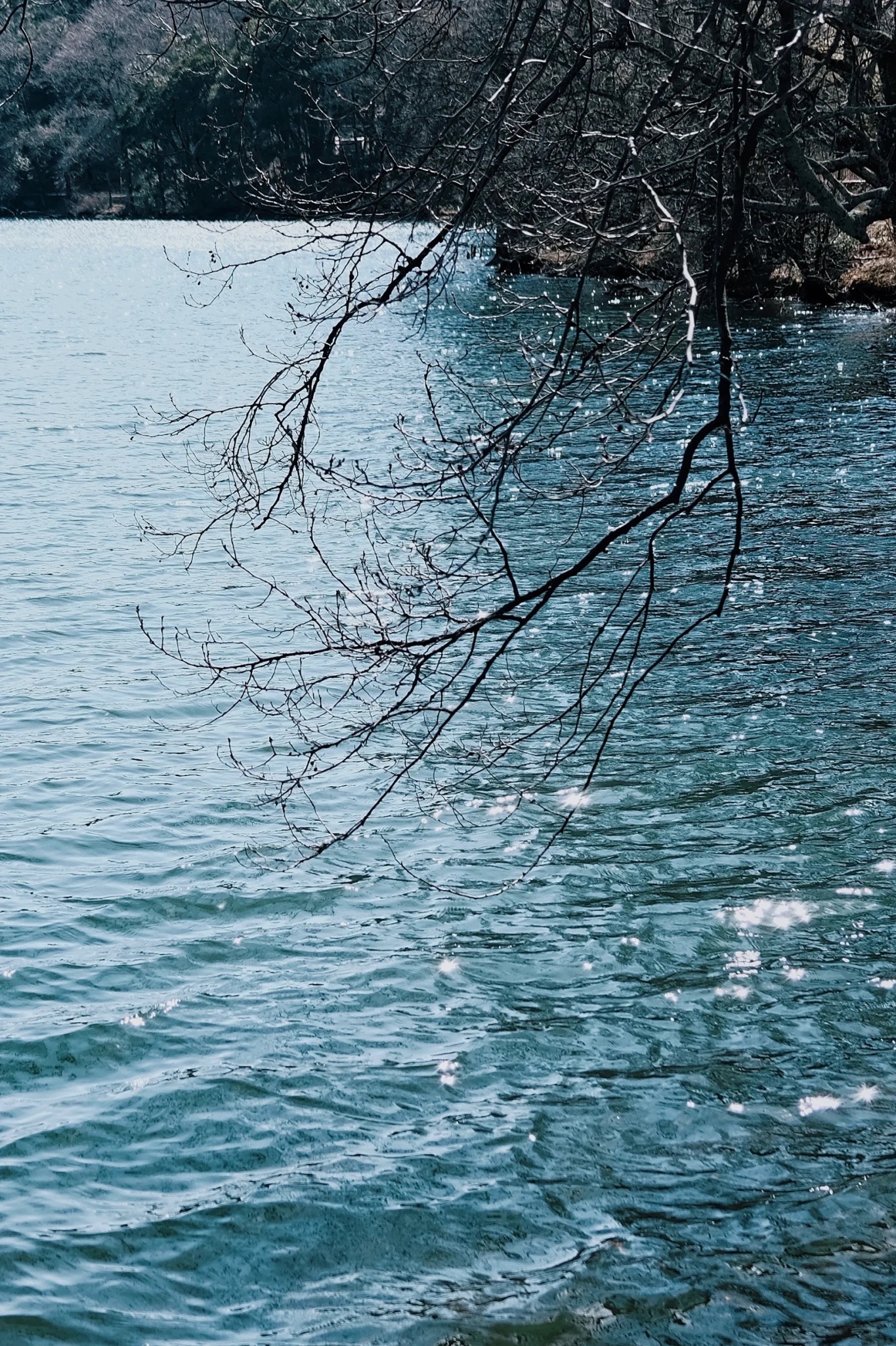 彝海景区旅行图片 2