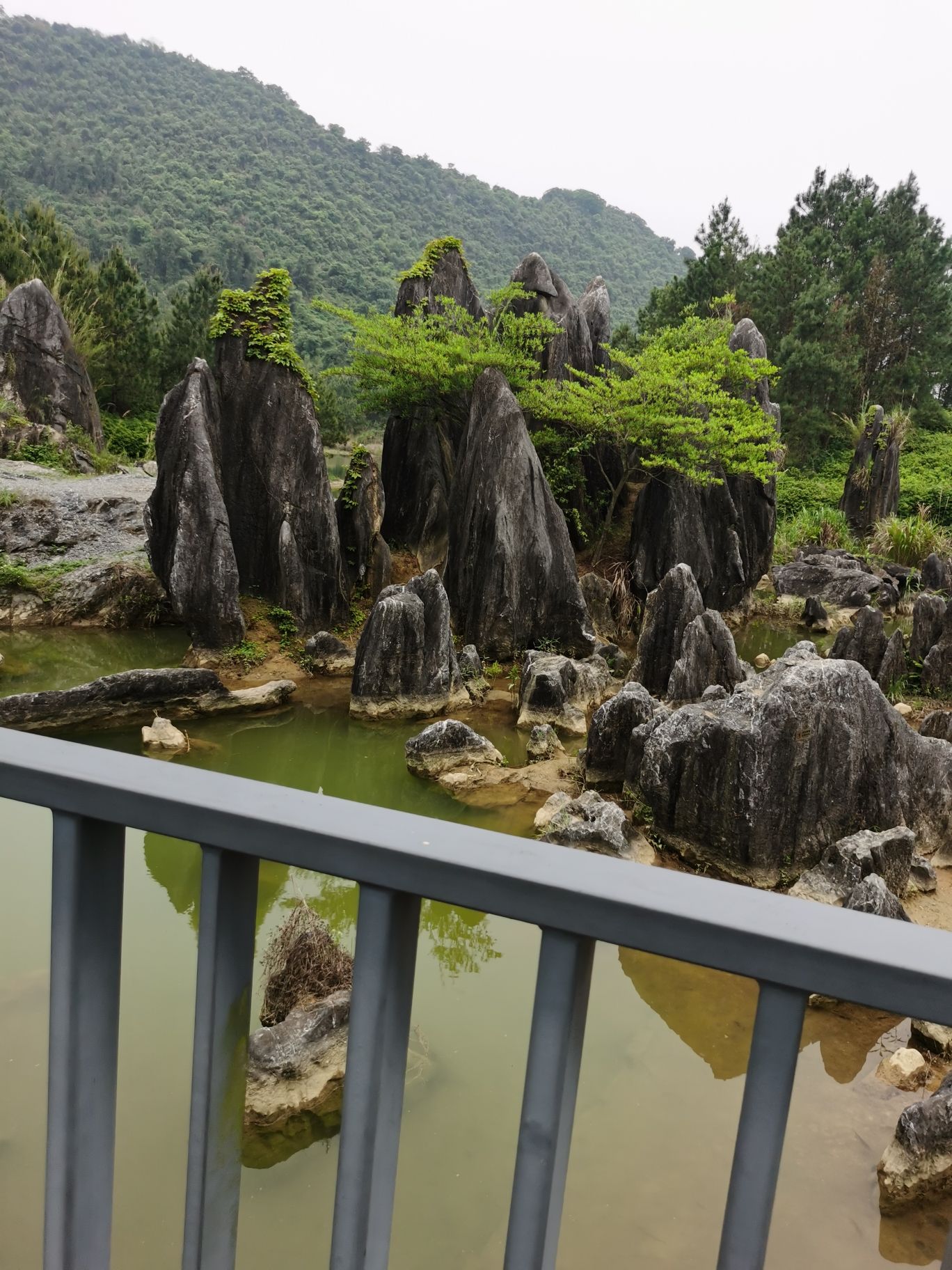同心岛-情人桥旅行图片 3
