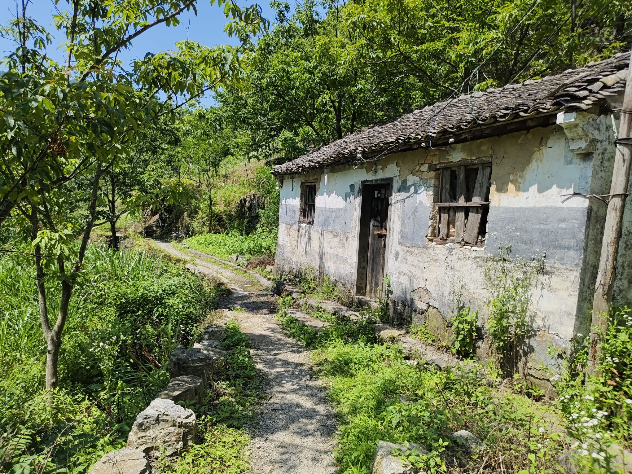 皂汰古村落风景区旅行图片 1