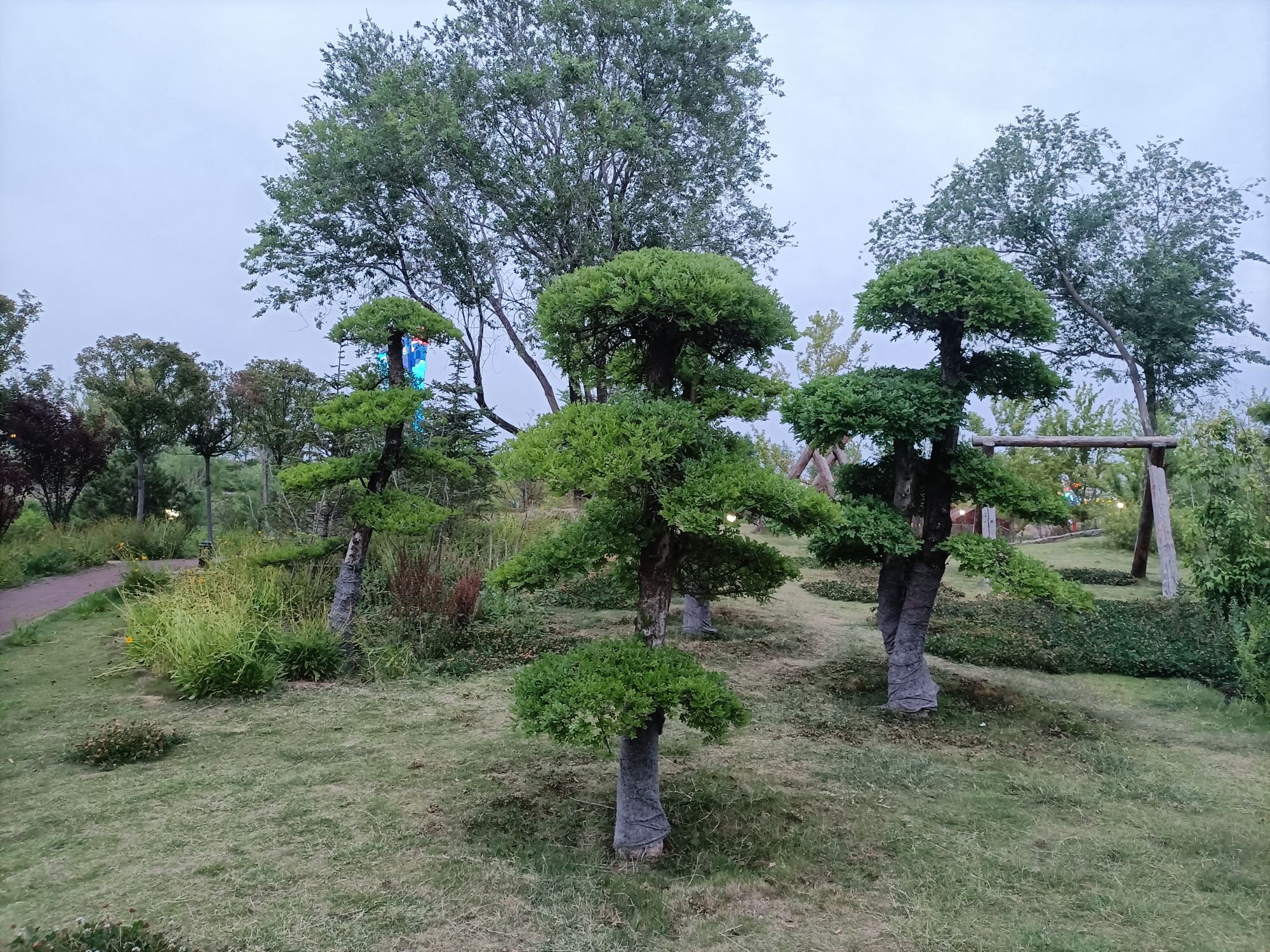 罗庄区银凤湖公园旅行图片 2