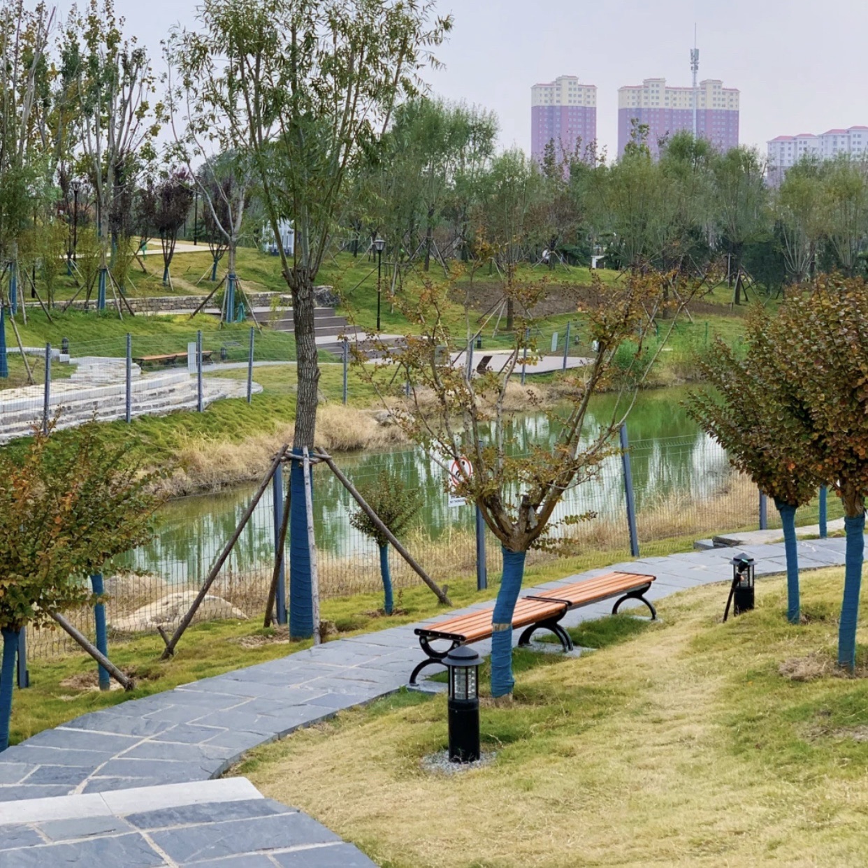 罗庄区银凤湖公园旅行图片 1