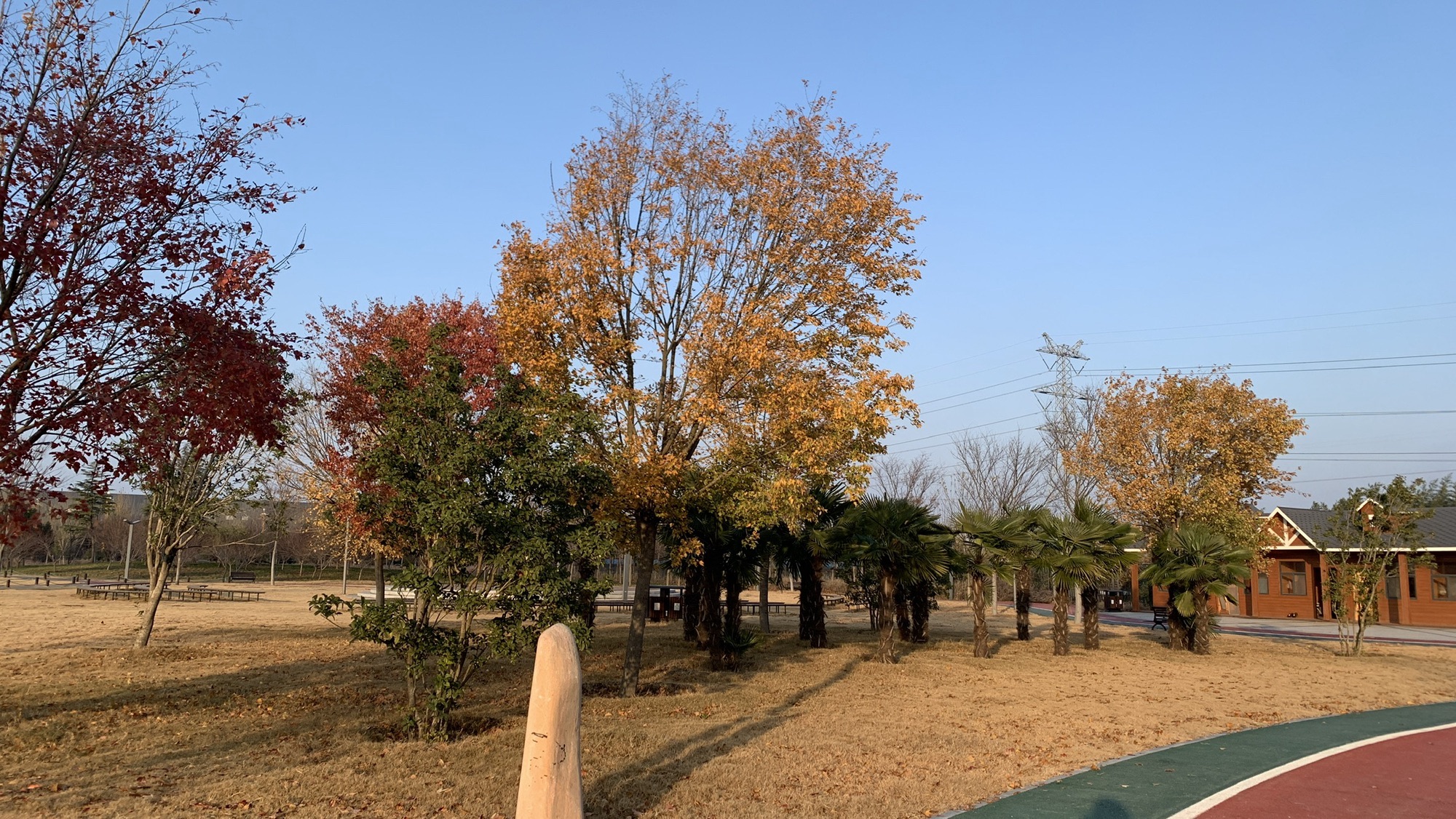 青龙河生态文化主题公园旅行图片 1
