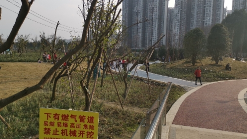 犀浦梓潼公园旅行图片 1