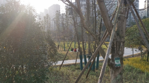 犀浦梓潼公园旅行图片 2