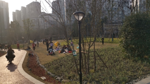 犀浦梓潼公园旅行图片 3