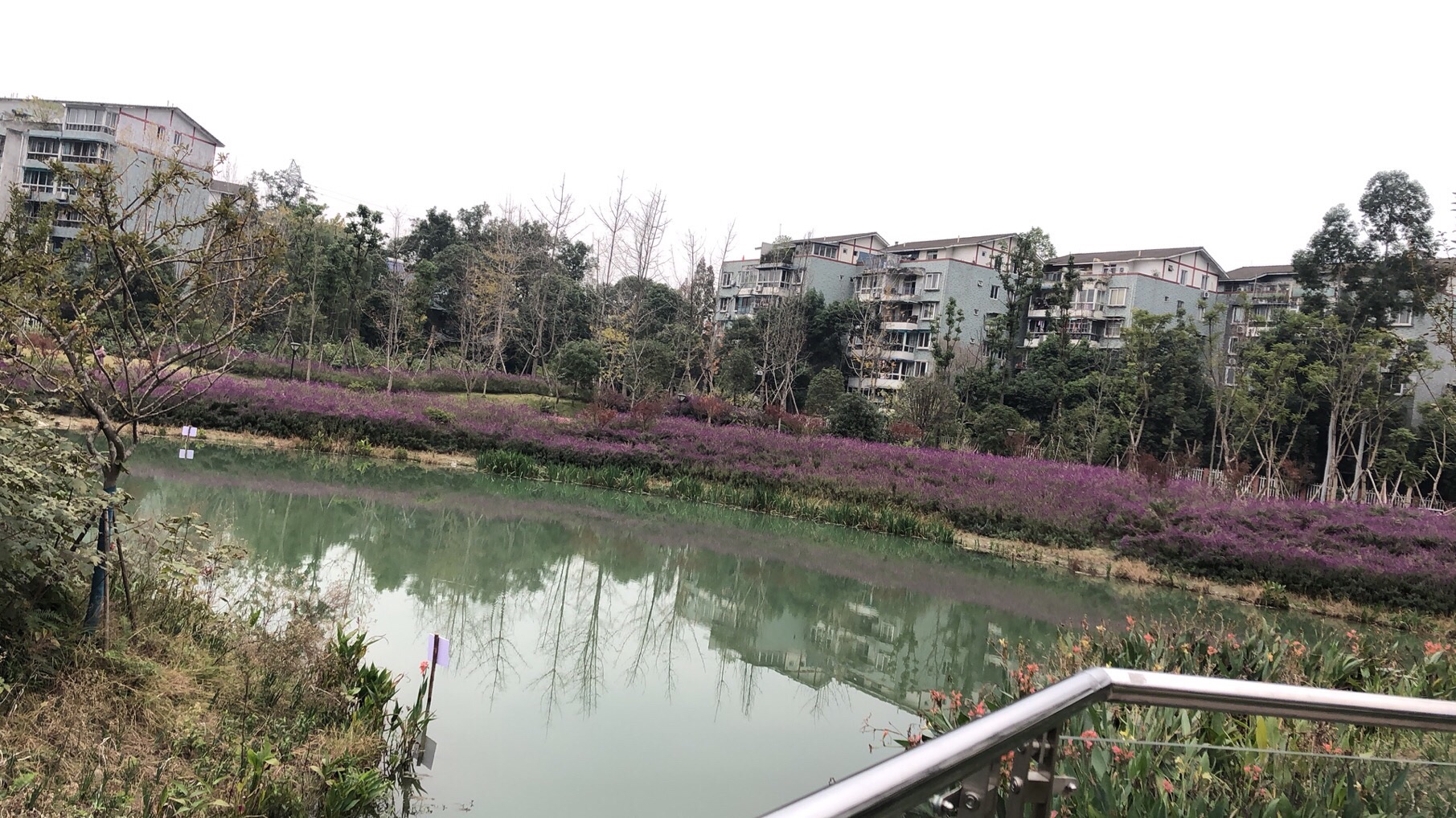 犀浦梓潼公园旅行图片 2