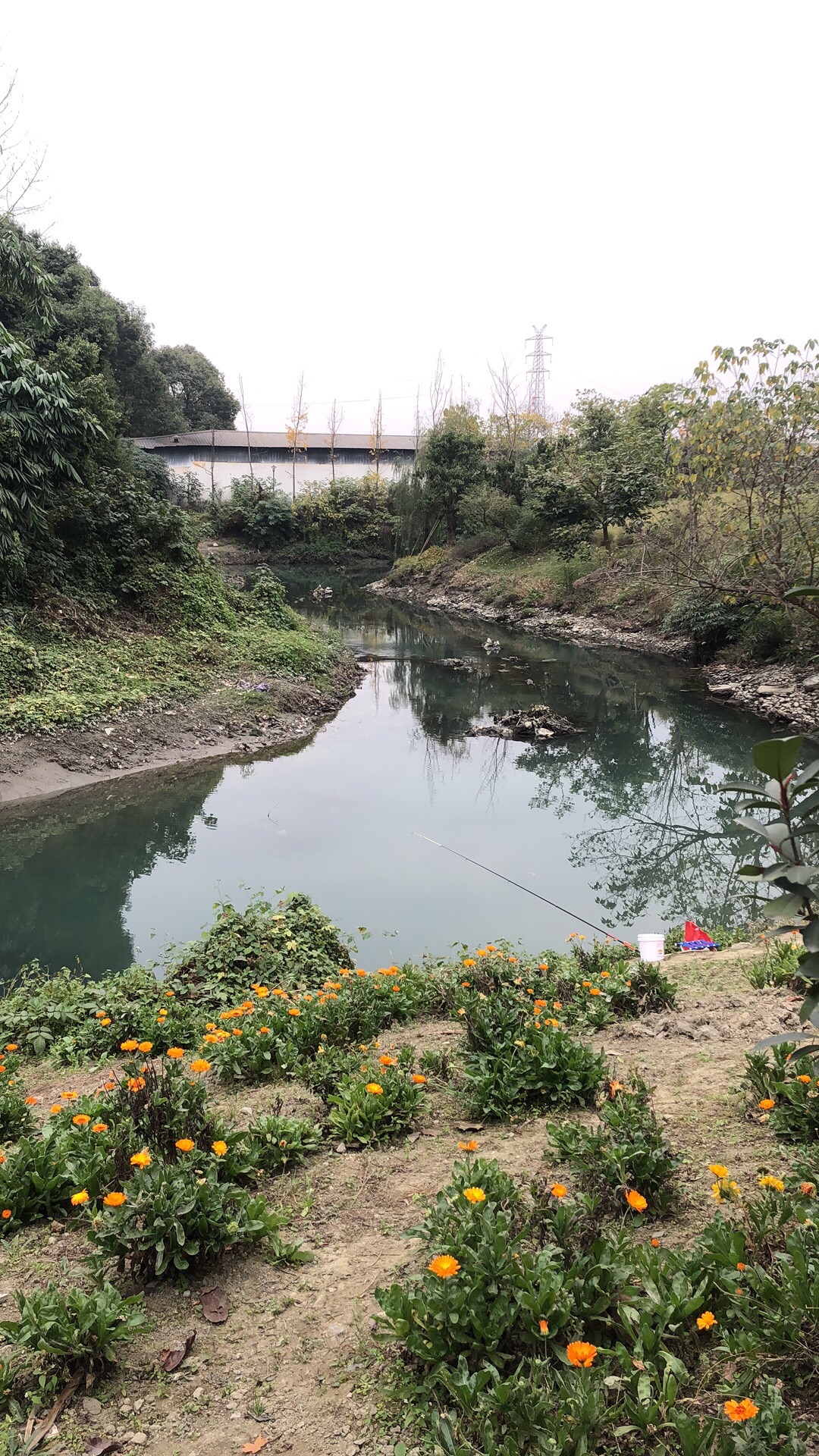 犀浦梓潼公园旅行图片 1