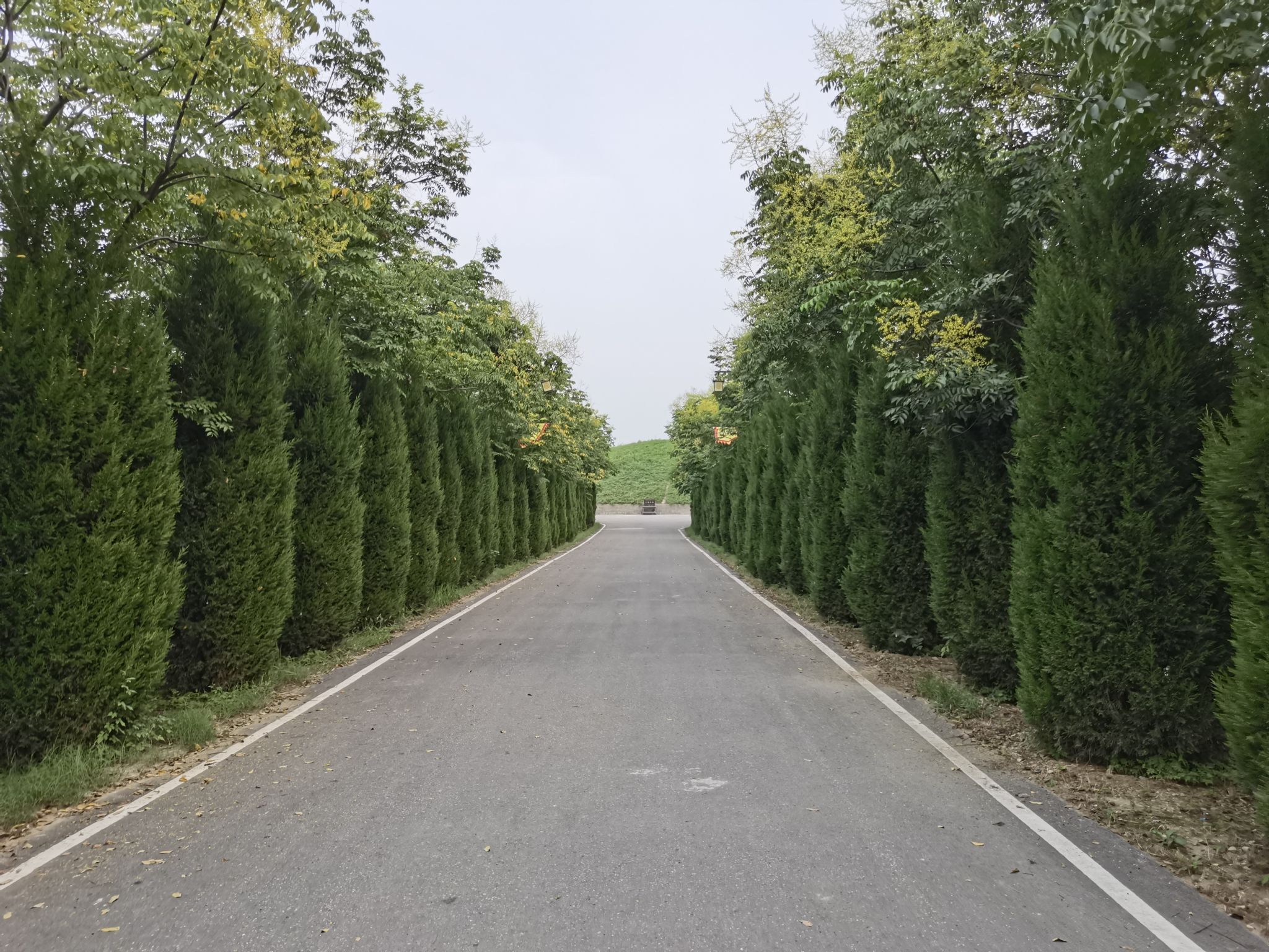铁佛汉墓旅行图片 1