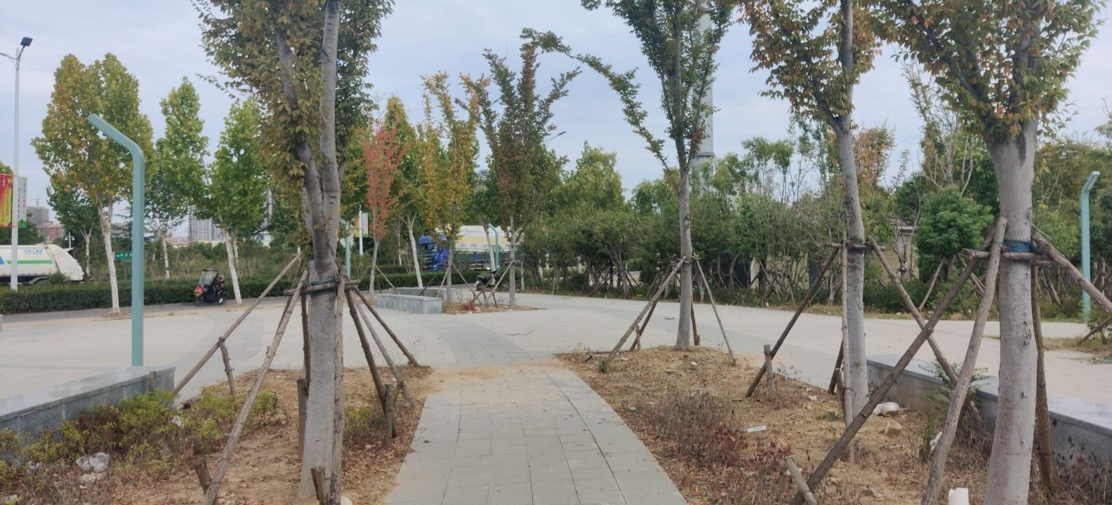 浍河湿地公园旅行图片 2