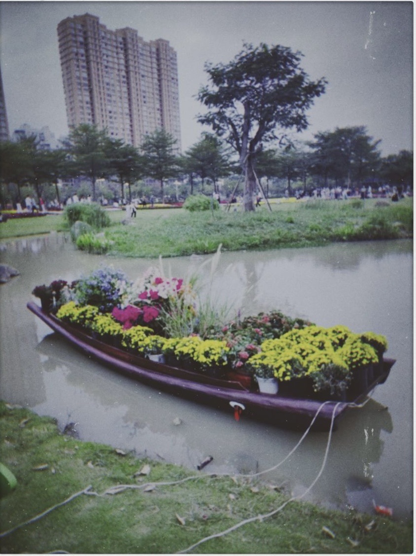 四季花海旅行图片 2