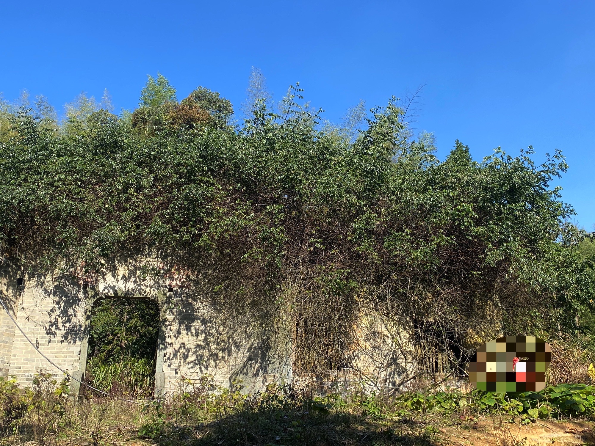 送香山古寺遗址旅行图片 1