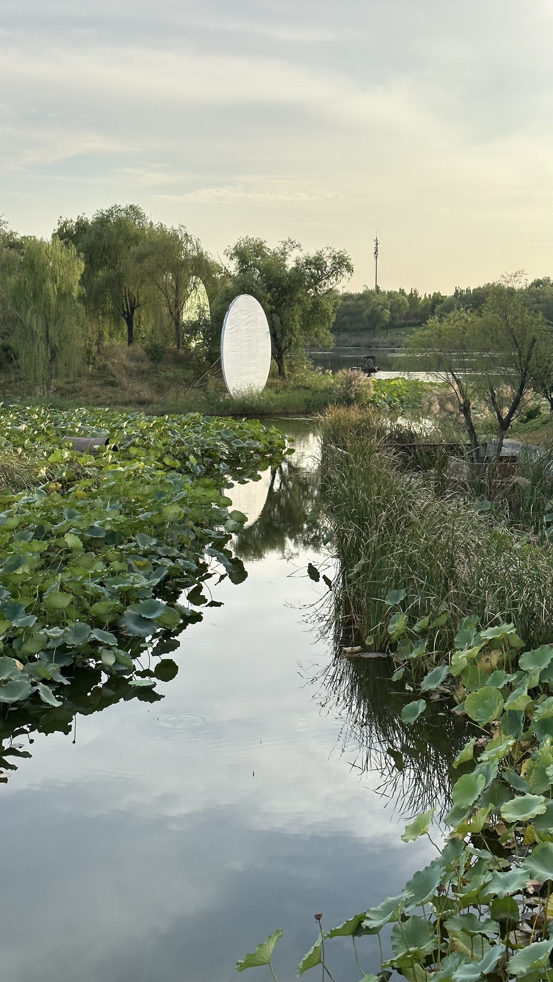 北京温榆河公园旅行图片 3