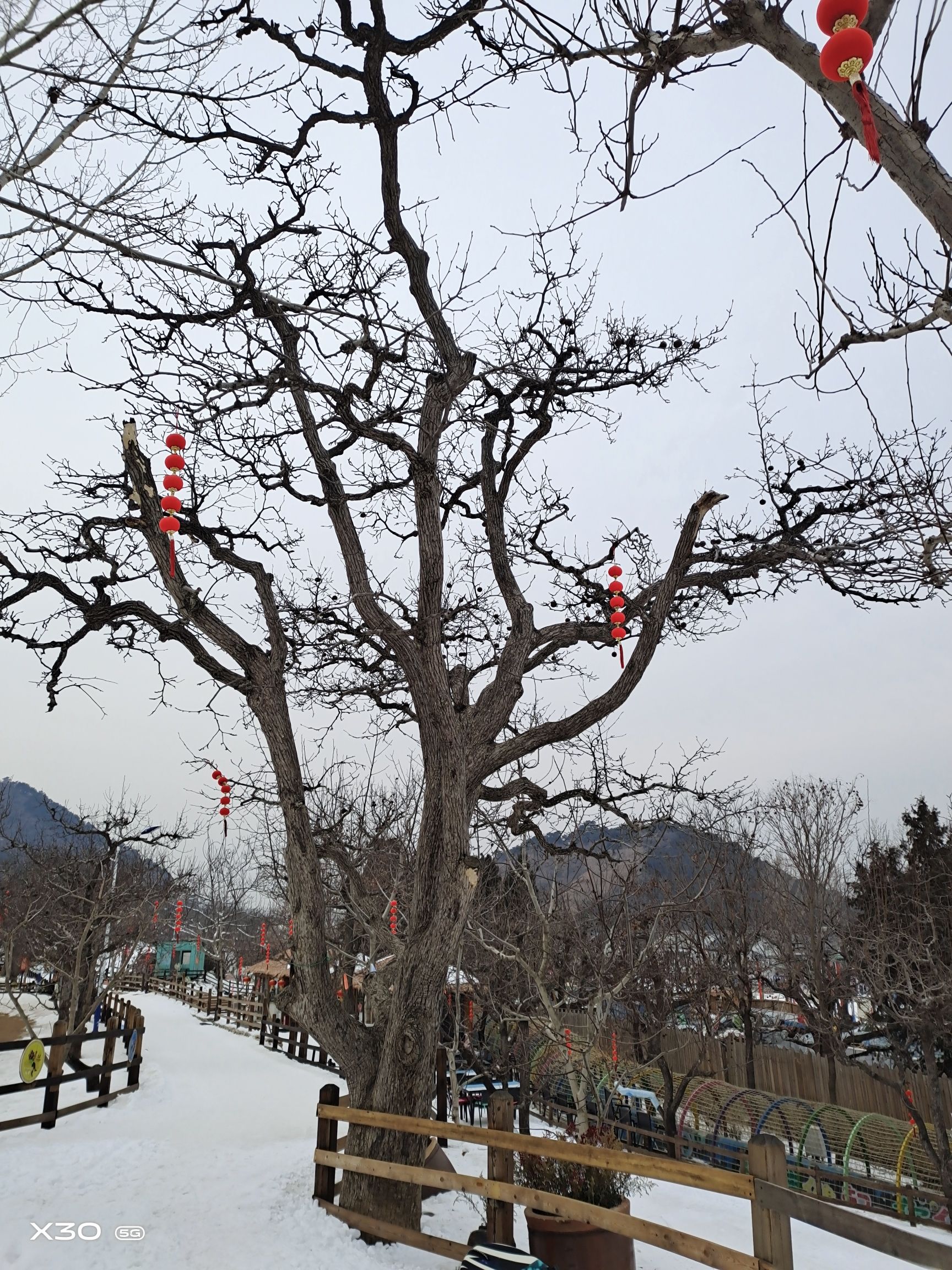 吉姆冒险世界旅行图片 1