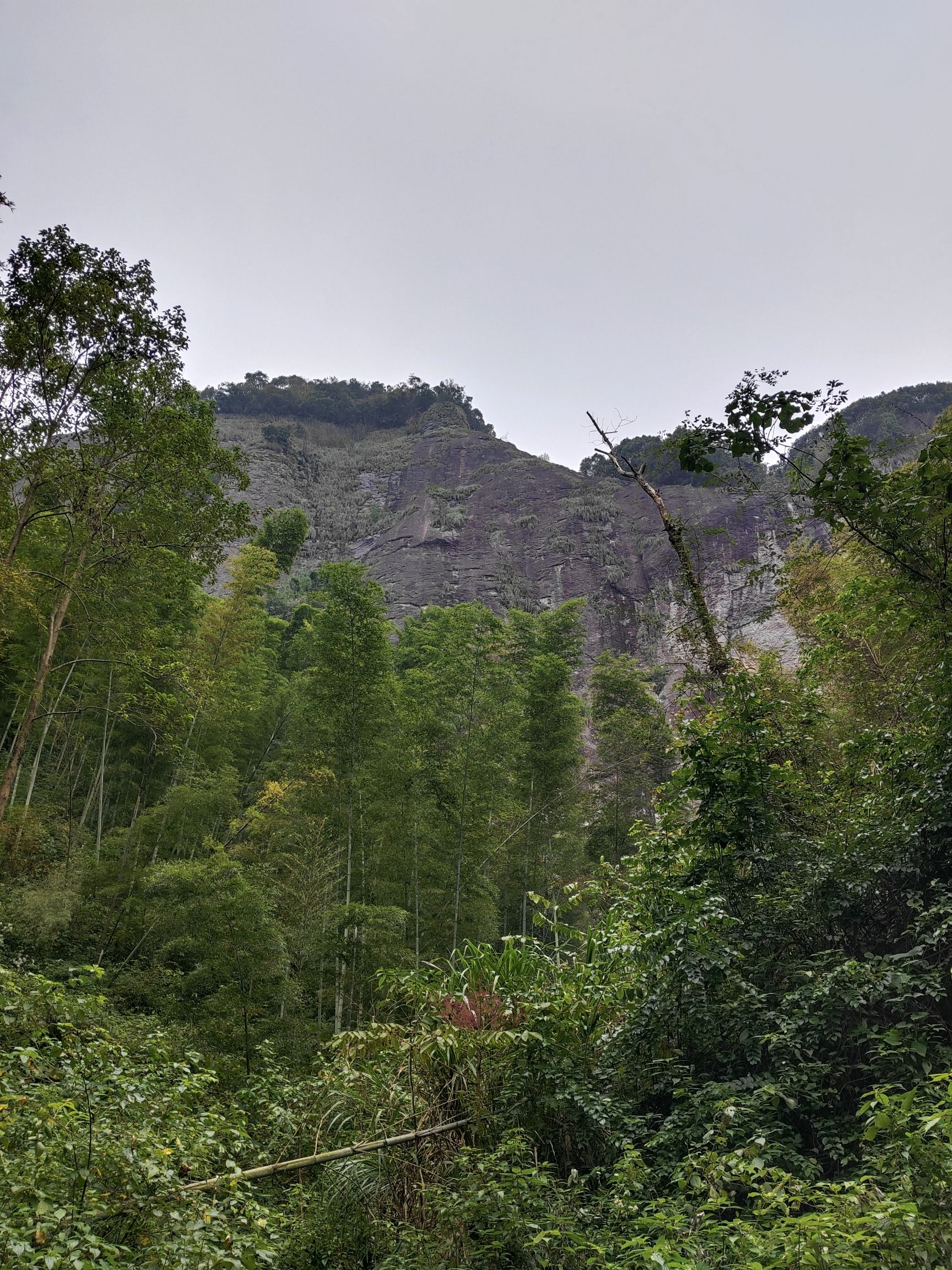 武义庐峰仙境大莱口风景名胜区旅行图片 1