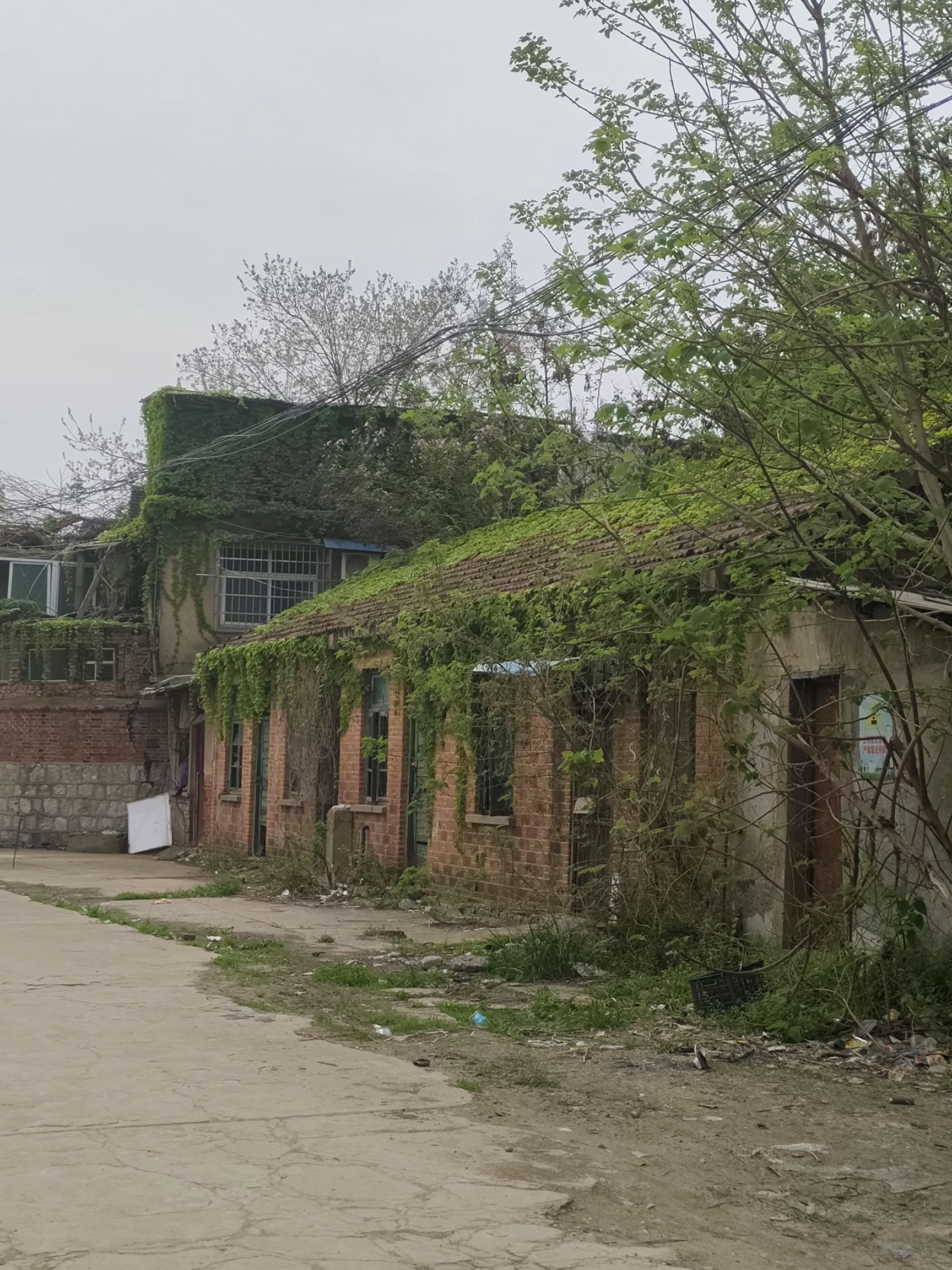 口袋公园旅行图片 2