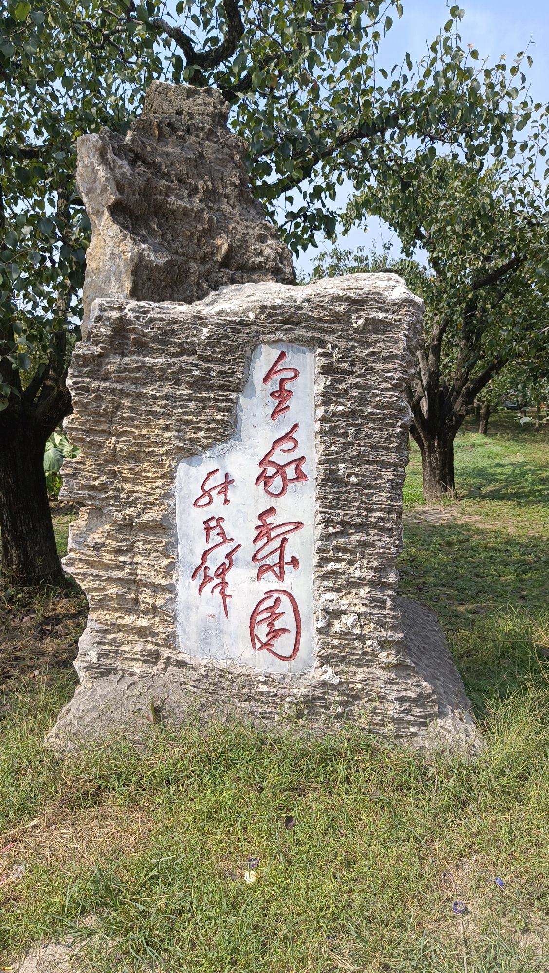 梨花小镇旅行图片 1